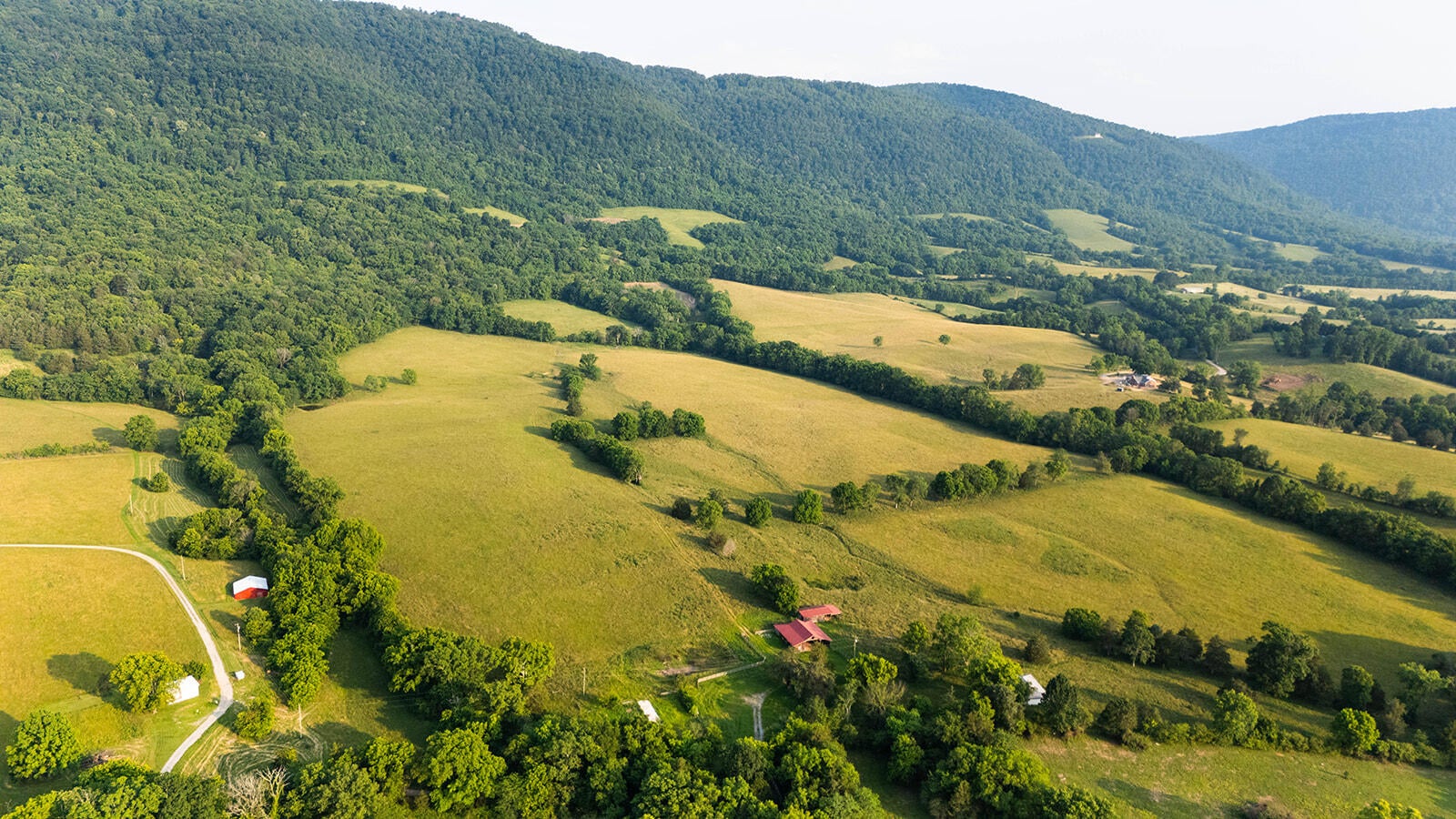 188 Marion Agee Road, Crossville, Tennessee, 37367, United States, ,Land,For Sale,188 Marion Agee Road,1659693