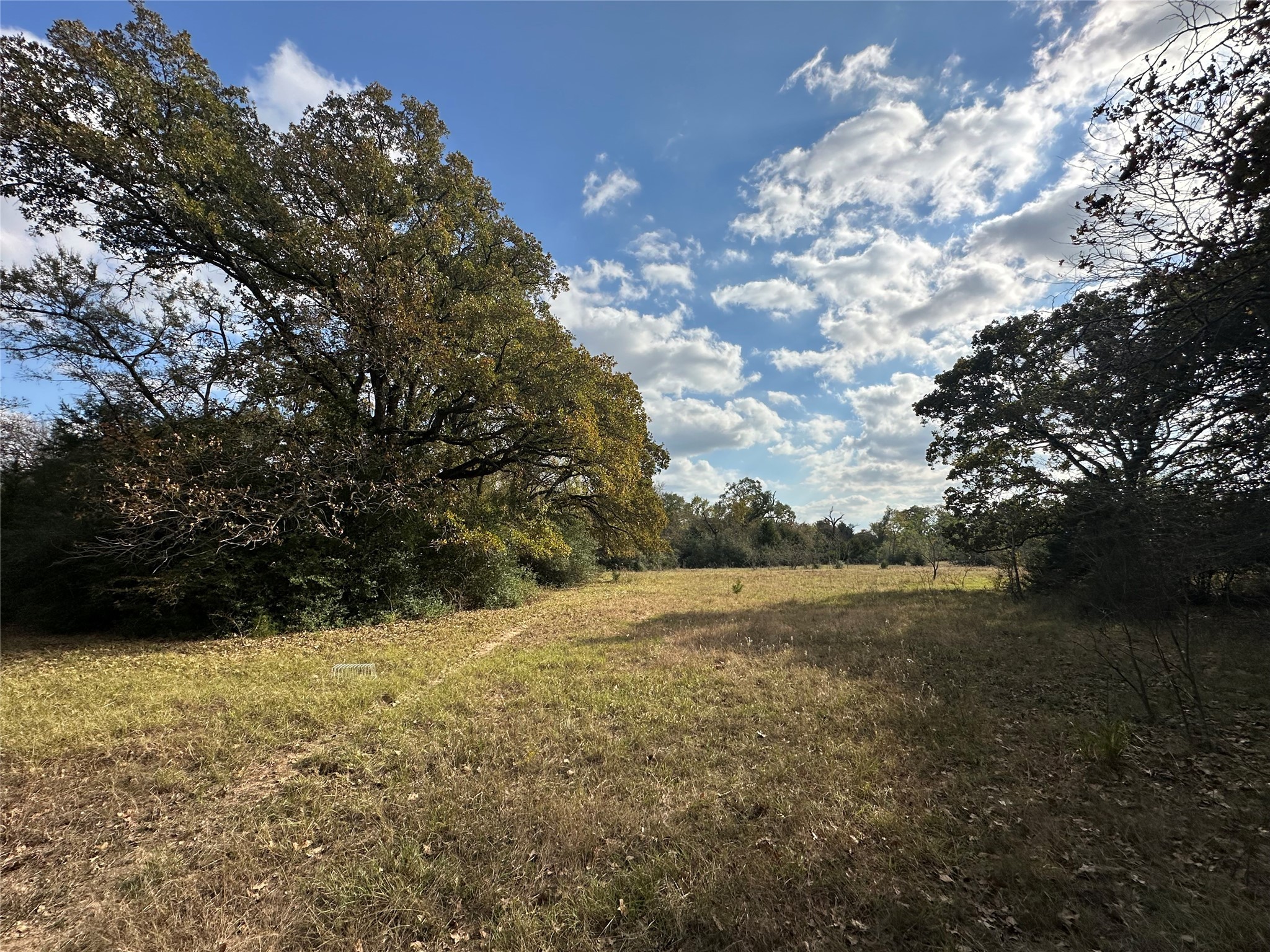 Thornton, Texas, 76687, United States, ,Land,For Sale,1995546
