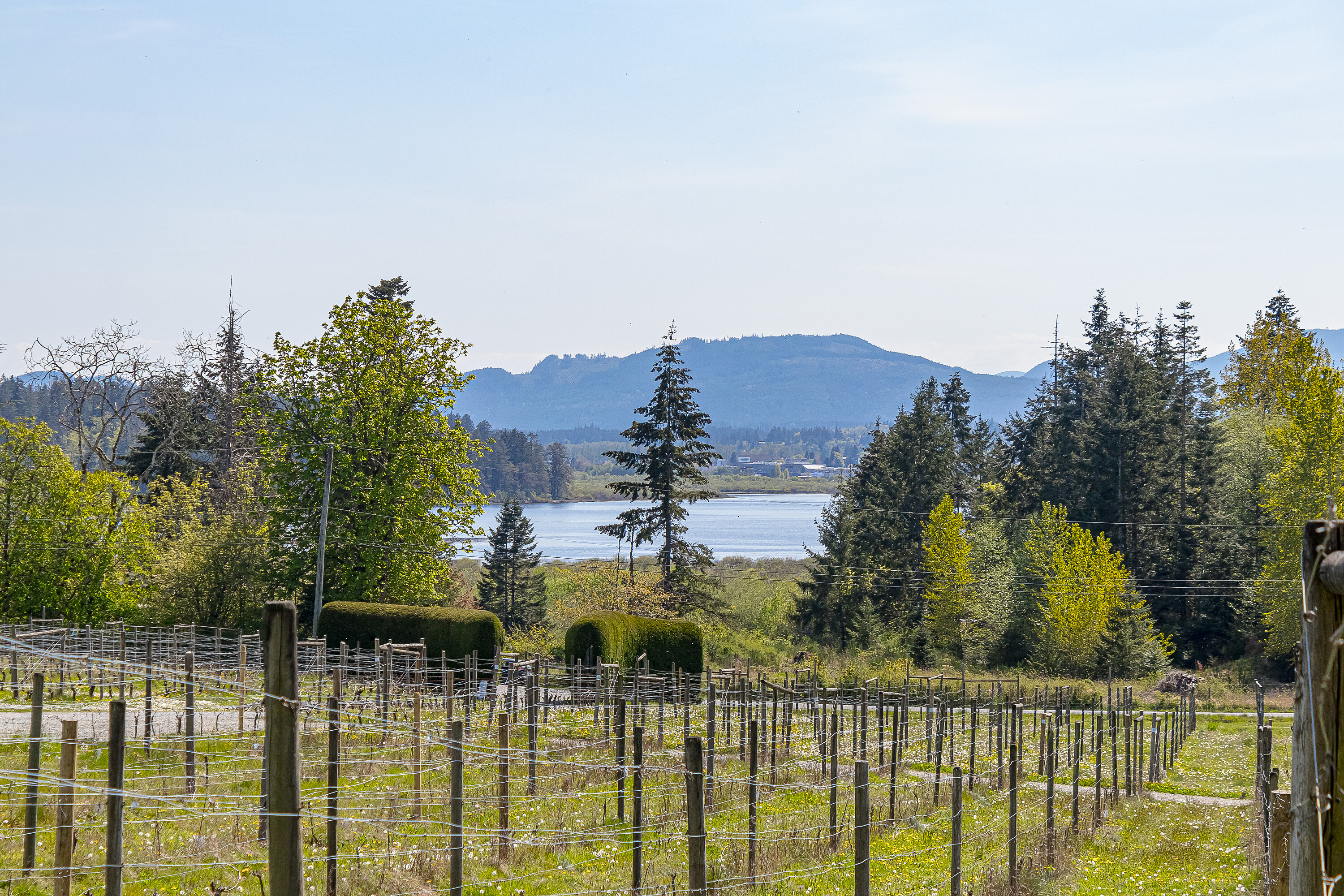  Welcome to Emandare Vineyard - 物件實景