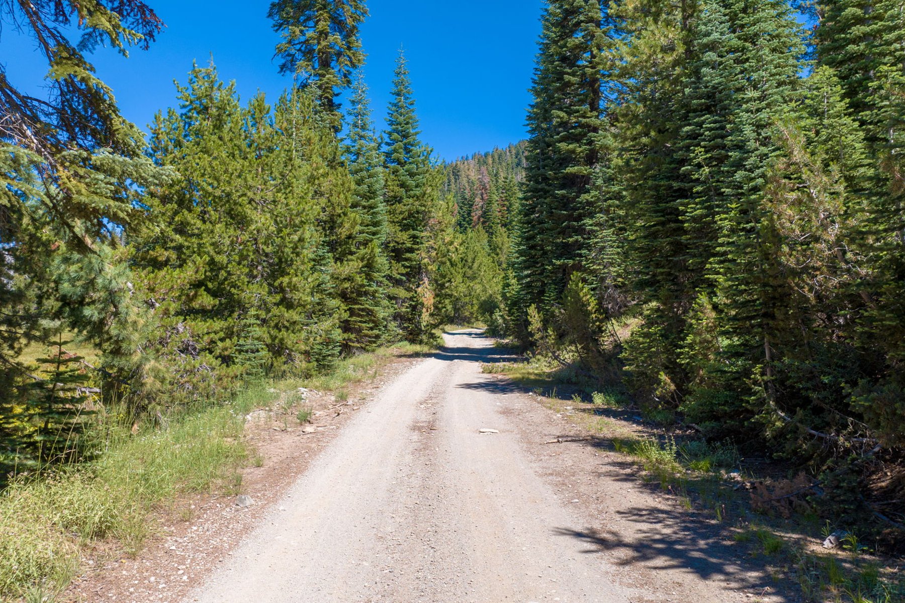  80 Acres of Pristine Land in the Middle of Plumas Eureka State Park - 物件實景