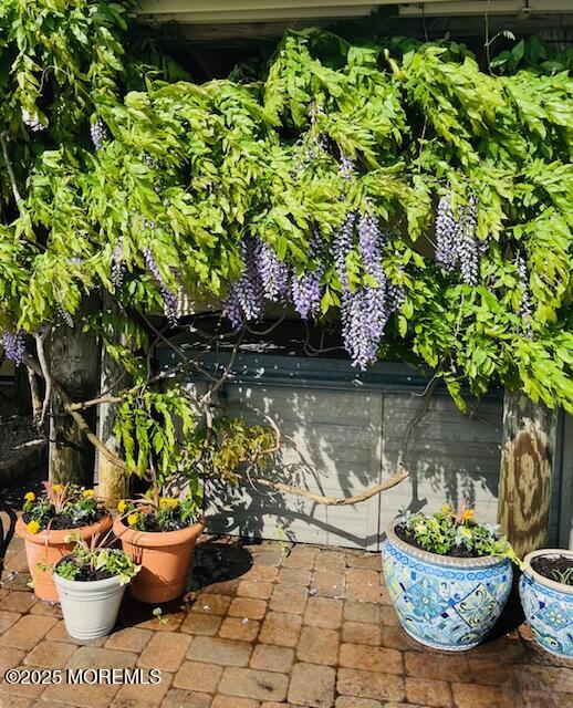 Little Egg Harbor, New Jersey, 08087, United States, 4 Bedrooms Bedrooms, ,4 BathroomsBathrooms,Residential,For Sale,1987432