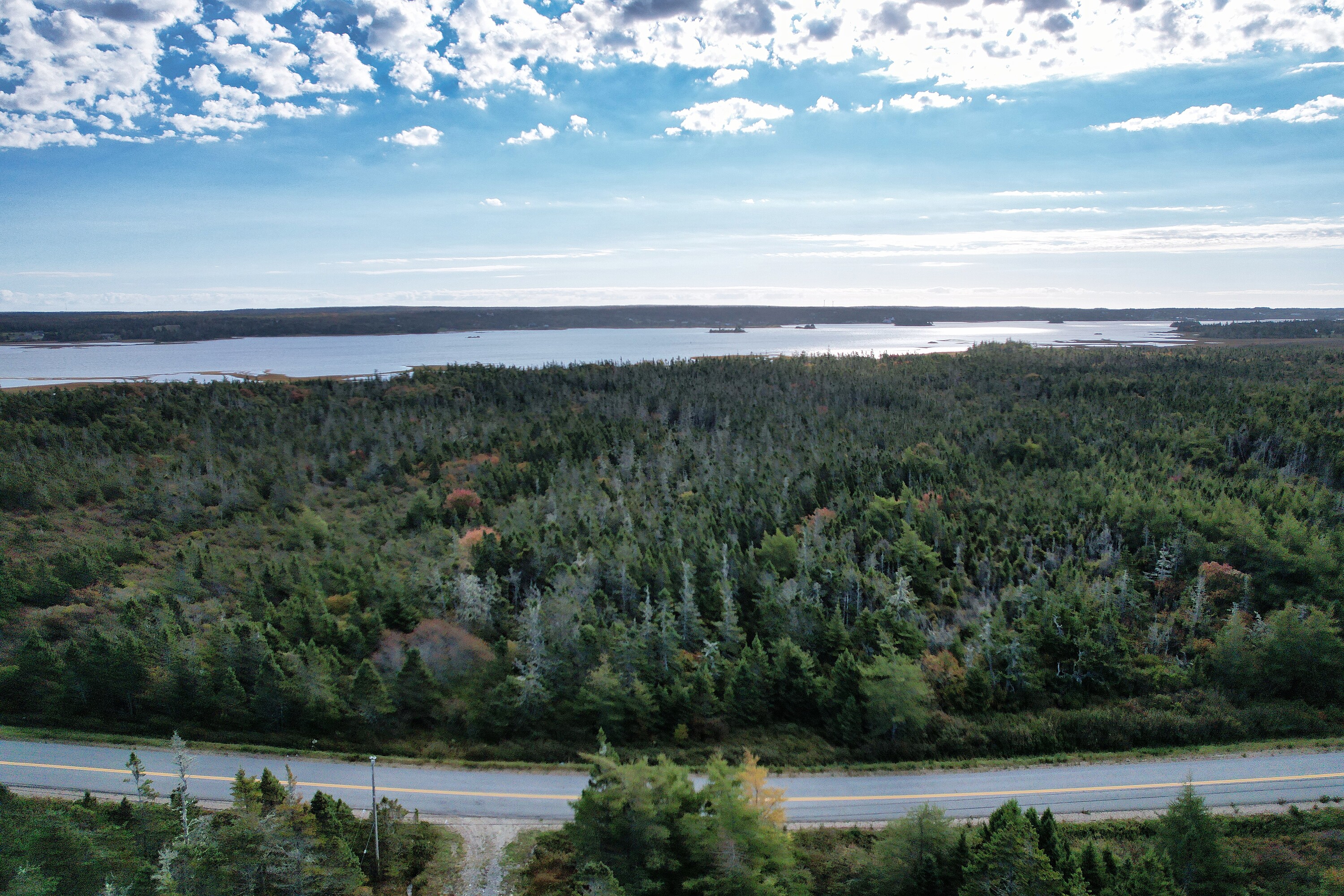  Forbes Point, - 物件實景