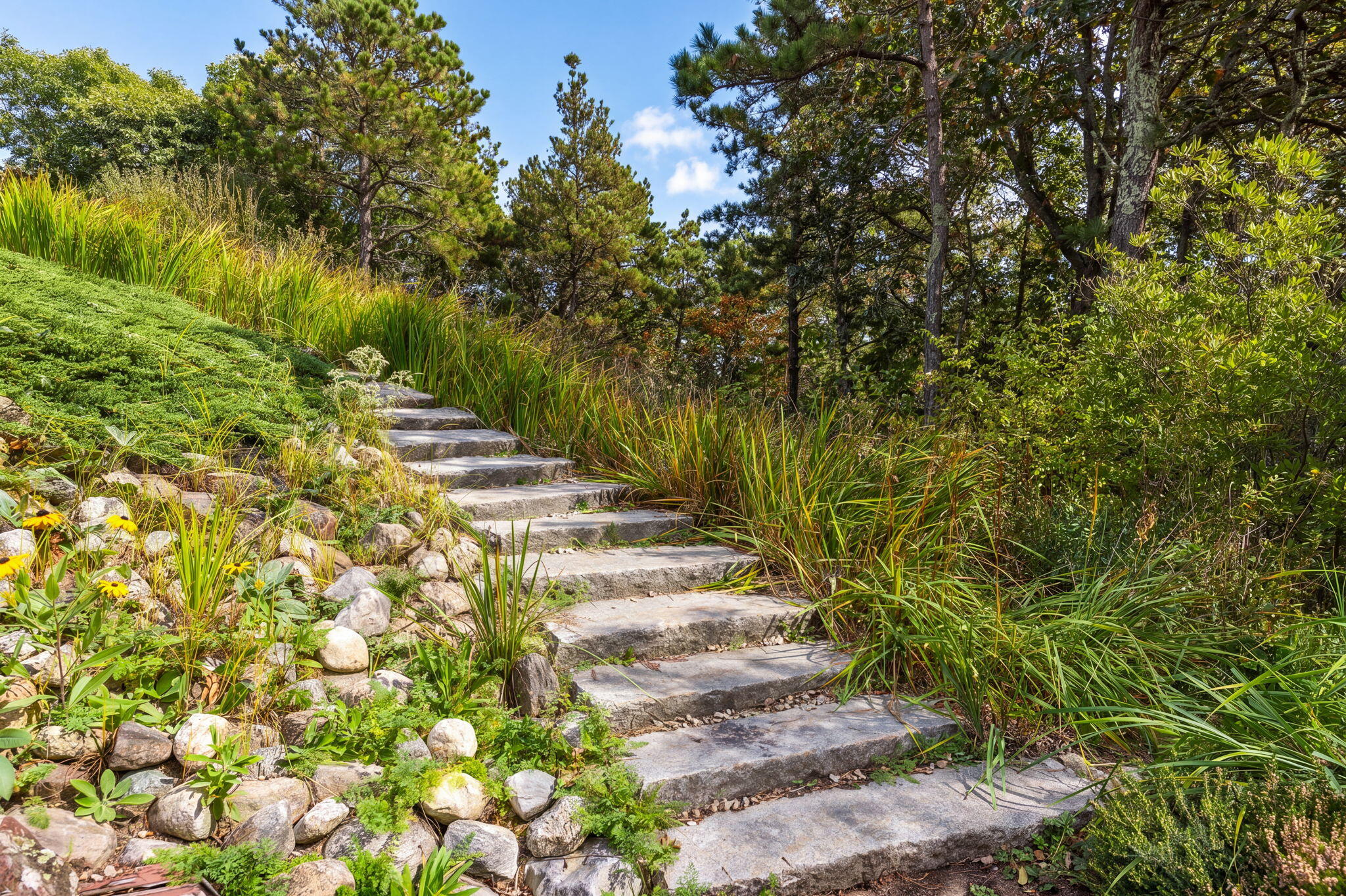  4 Sylvias Way, Truro, MA, 02666 - 物件實景