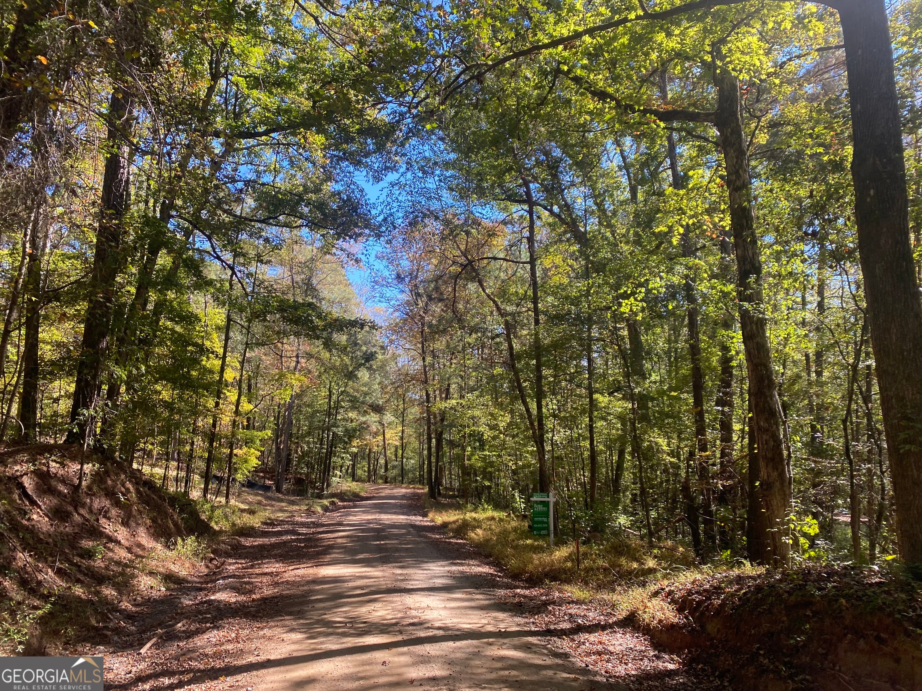 Forsyth, Georgia, 31029, United States, ,Land,For Sale,1907989