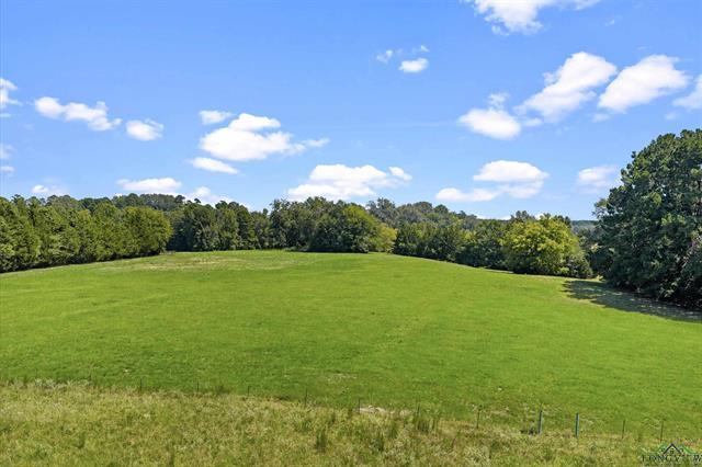 Henderson, Texas, 75652, United States, 3 Bedrooms Bedrooms, ,2 BathroomsBathrooms,Residential,For Sale,1958802