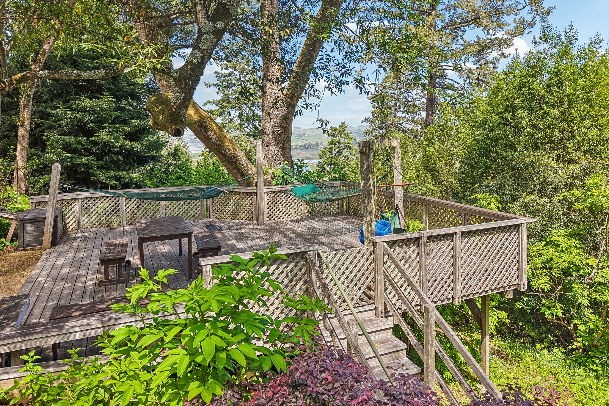  West Marin Legacy Estate - 物件實景