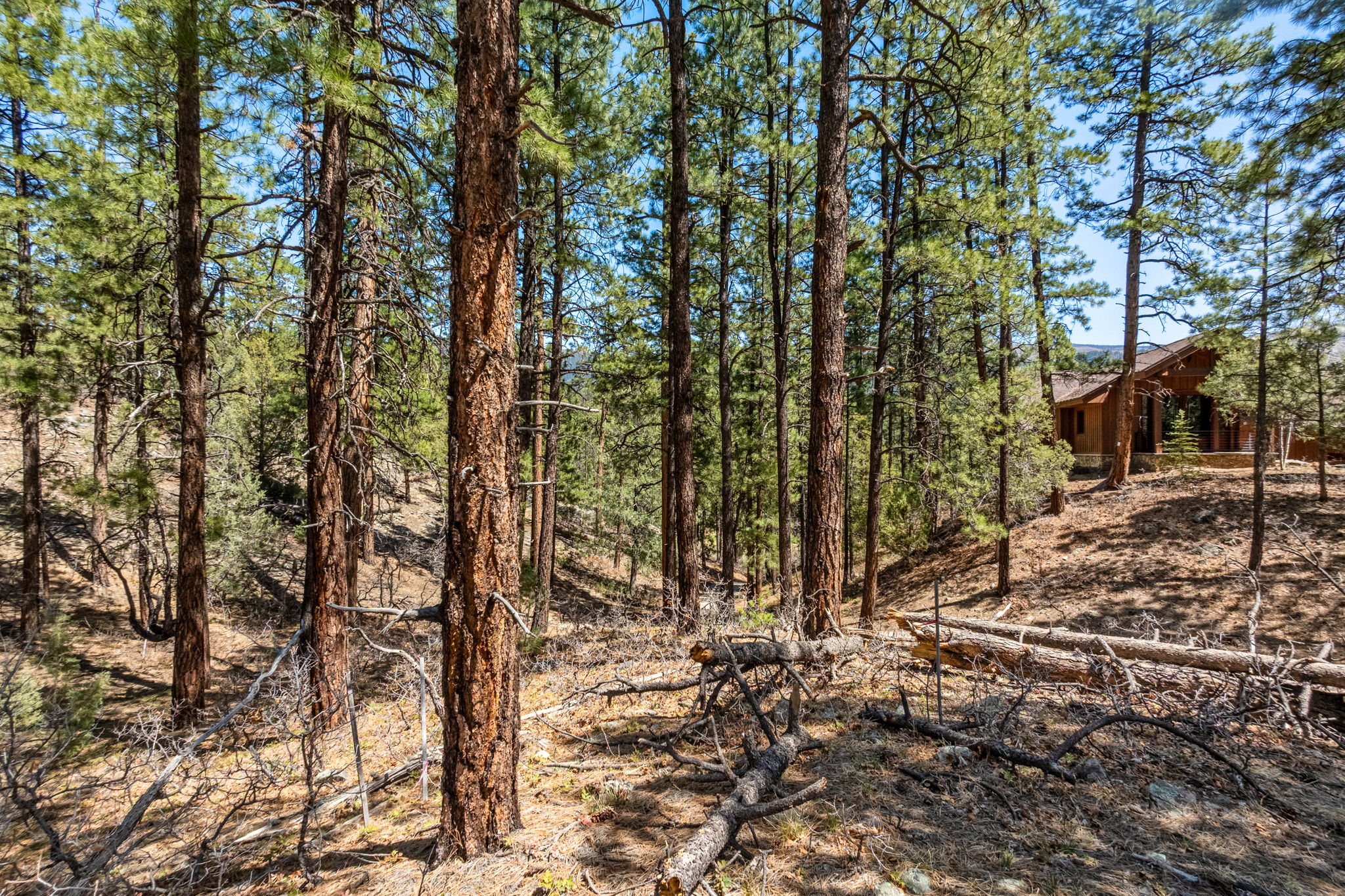  91 Ambush Canyon, Durango, CO 81301 - 物件實景