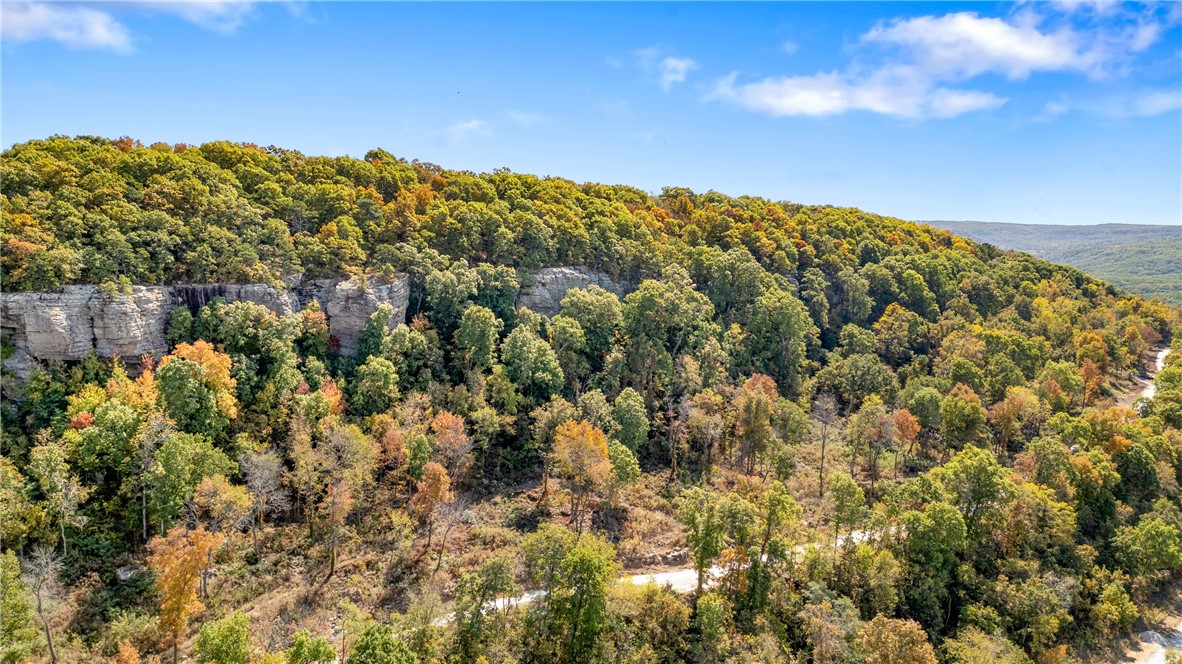 Harrison, Arkansas, 72601, United States, ,Land,For Sale,1903460