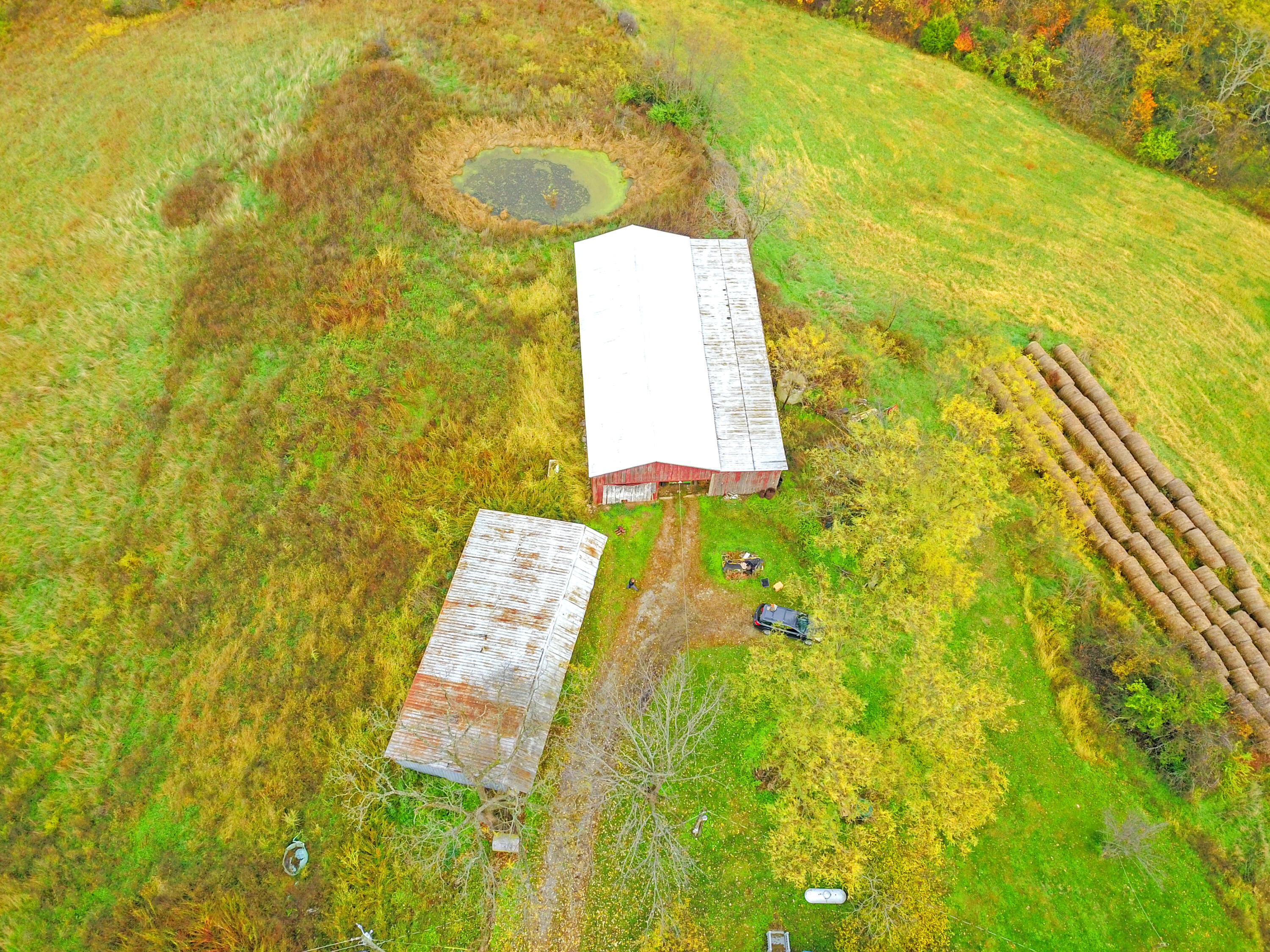 Williamstown, Kentucky, 41097, United States, ,Land,For Sale,1995668