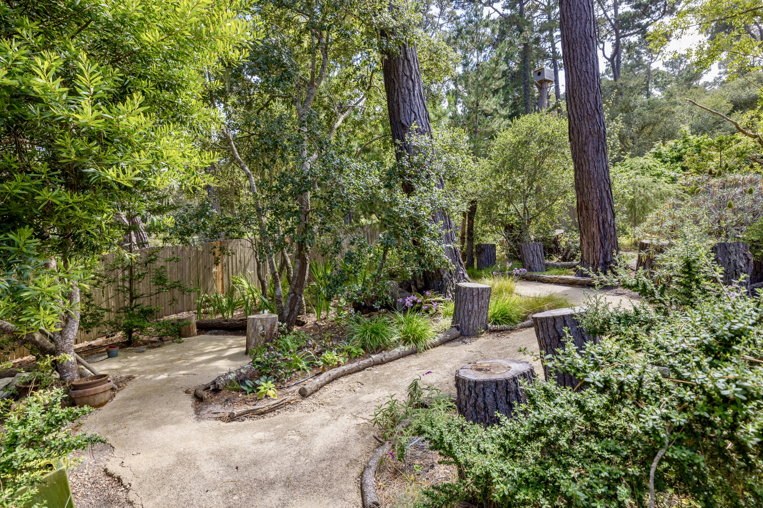  3 Forest Rise Place, Monterey - 物件實景