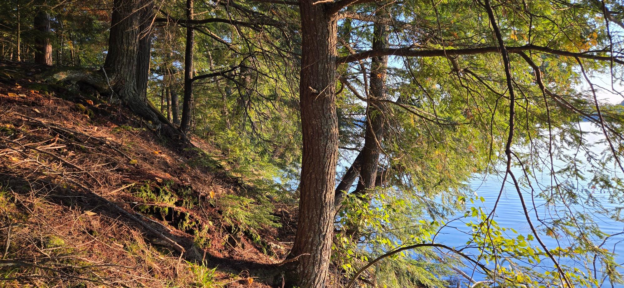 Presque Isle, Wisconsin, 54557, United States, ,Land,For Sale,1984076