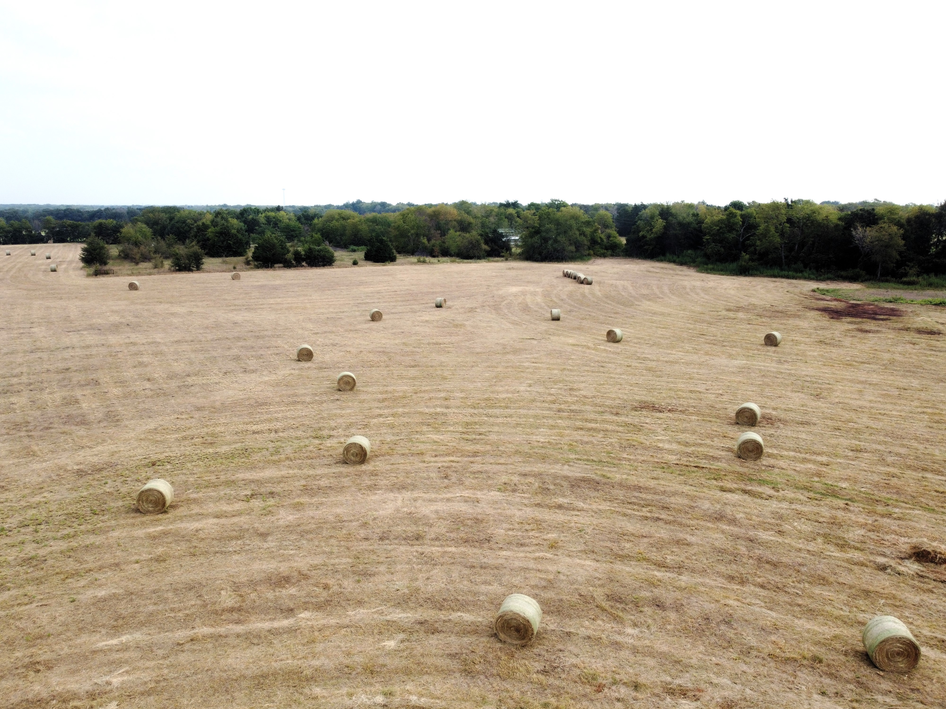 Cumby, Texas, 75433, United States, ,Land,For Sale,1987346