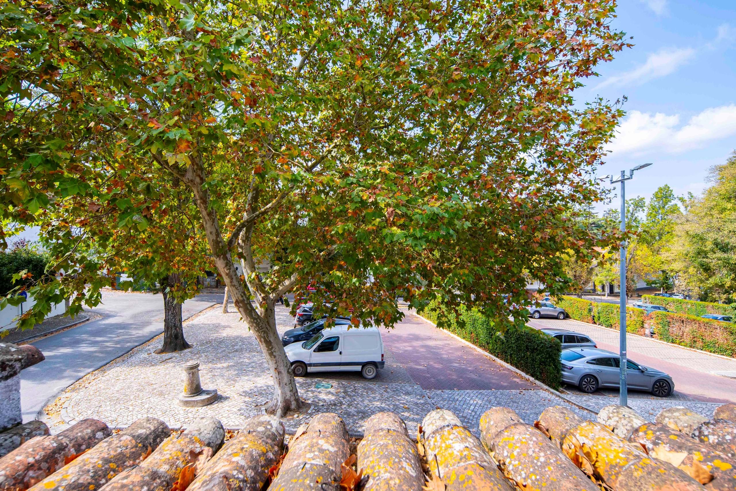 Setúbal, Setúbal, 2925- 002, PT, 3 Bedrooms Bedrooms, ,2 BathroomsBathrooms,Residential,For Sale,1708692