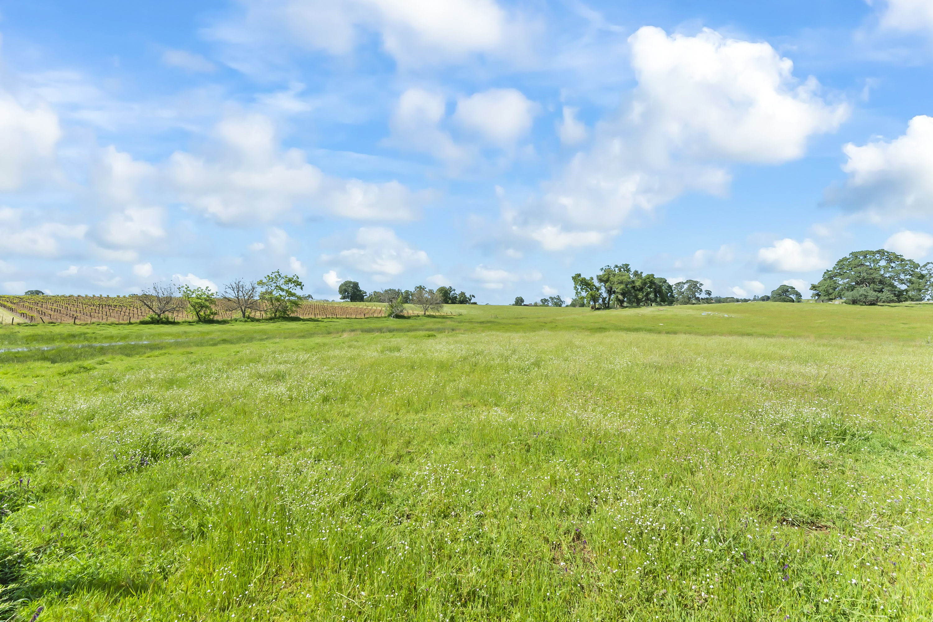  107 Acres - Seasonal Creek - Legacy - 物件實景