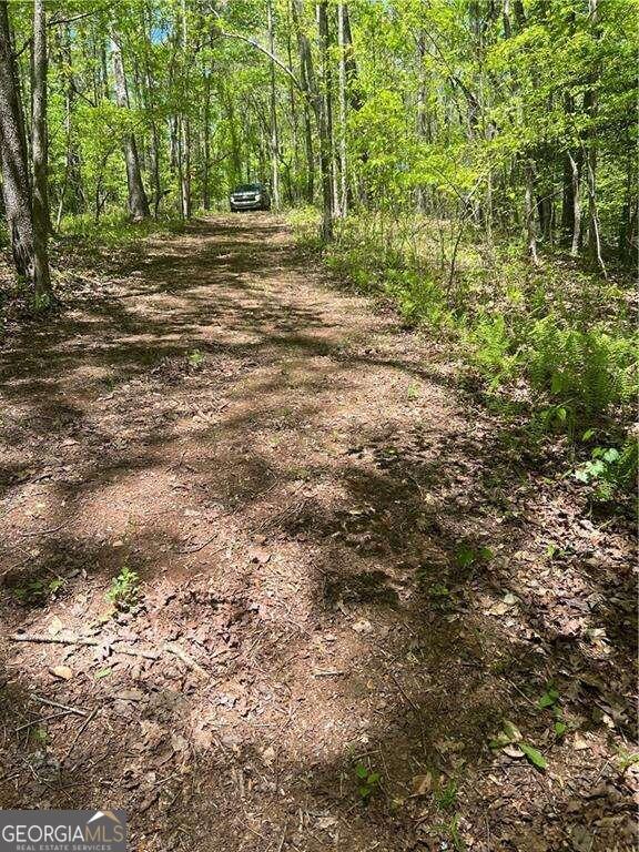 Waleska, Georgia, 30183, United States, ,Land,For Sale,1929807
