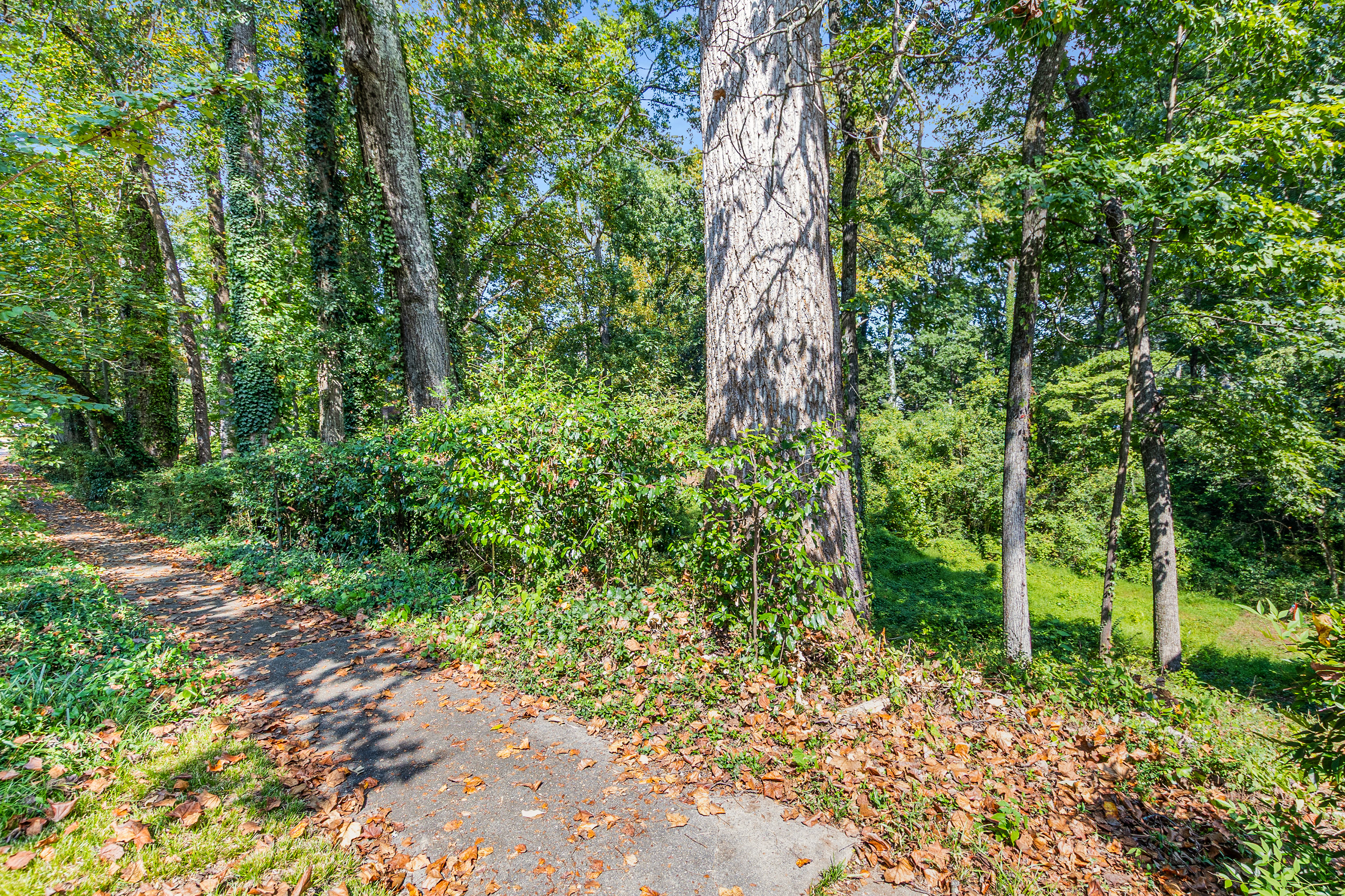  Three Contiguous Lots for New Construction in Historic Druid Hills - 物件實景