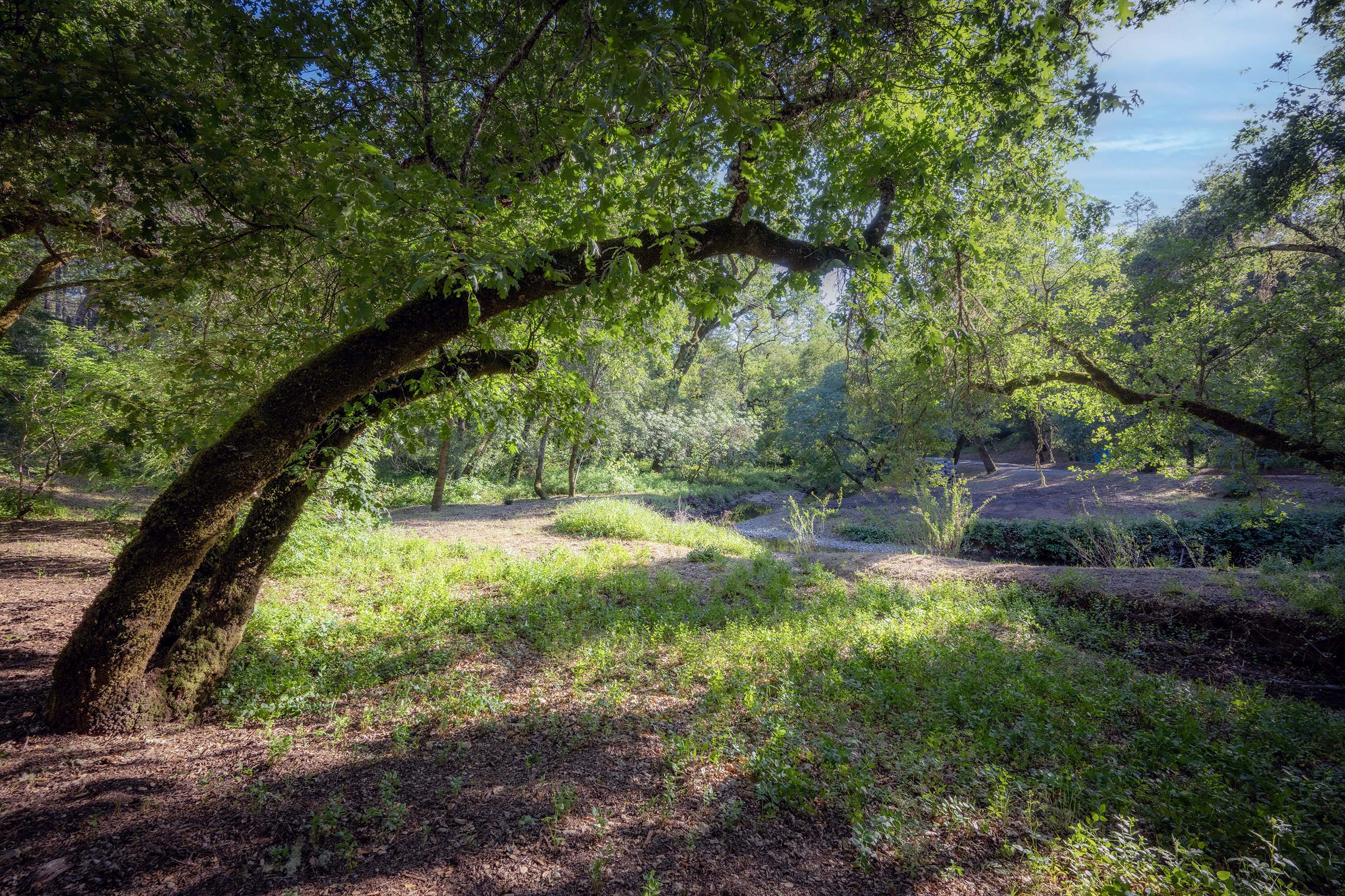  23200 Dutcher Creek Road - 物件實景