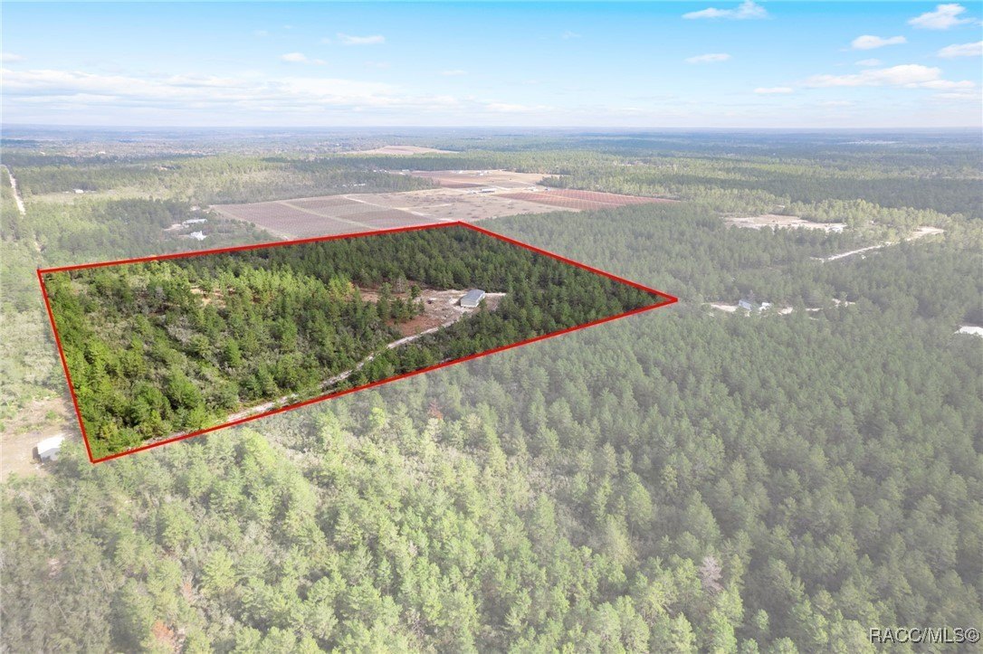 Dunnellon, Florida, 34433, United States, 4 Bedrooms Bedrooms, ,3 BathroomsBathrooms,Residential,For Sale,2008614