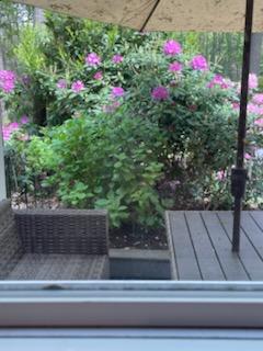 South Setauket, New York, 11720, United States, 3 Bedrooms Bedrooms, ,3 BathroomsBathrooms,Residential,For Sale,1937131