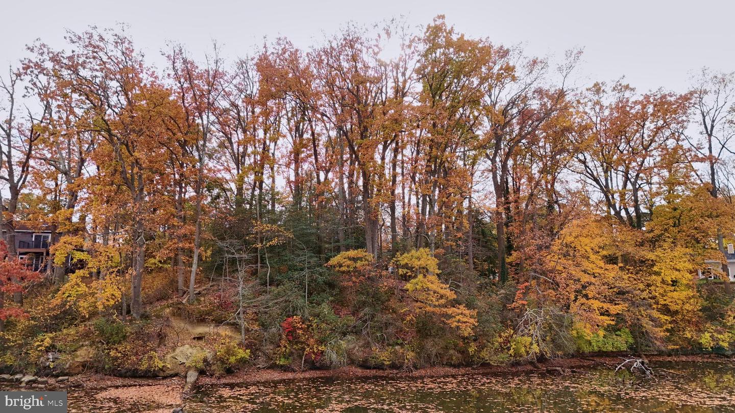 Arnold, Maryland, 21012, United States, ,Land,For Sale,1988934