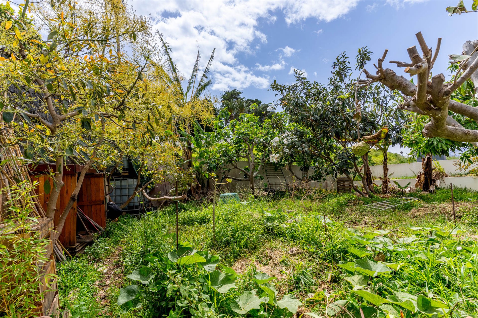  House, 3 bedrooms, for Sale - 物件實景