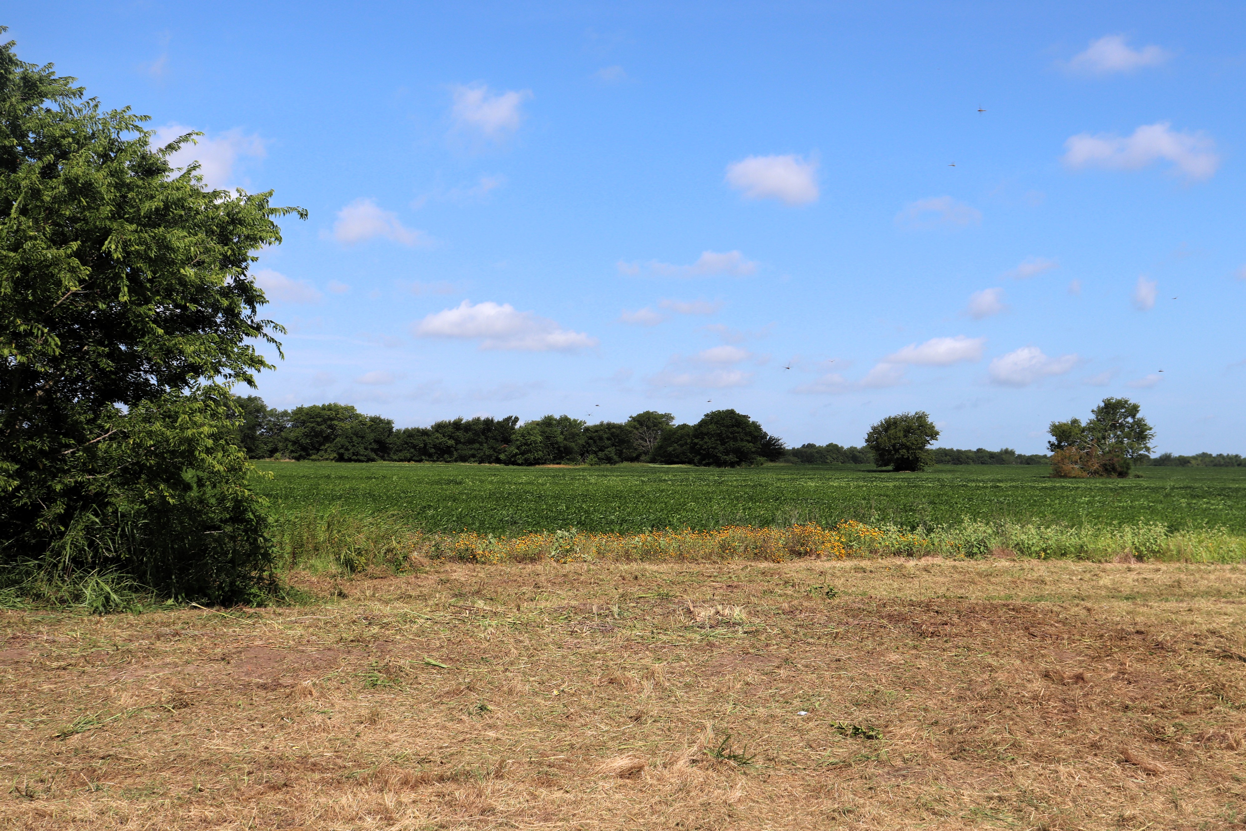Commerce, Texas, 75428, United States, ,Residential,For Sale,1921218