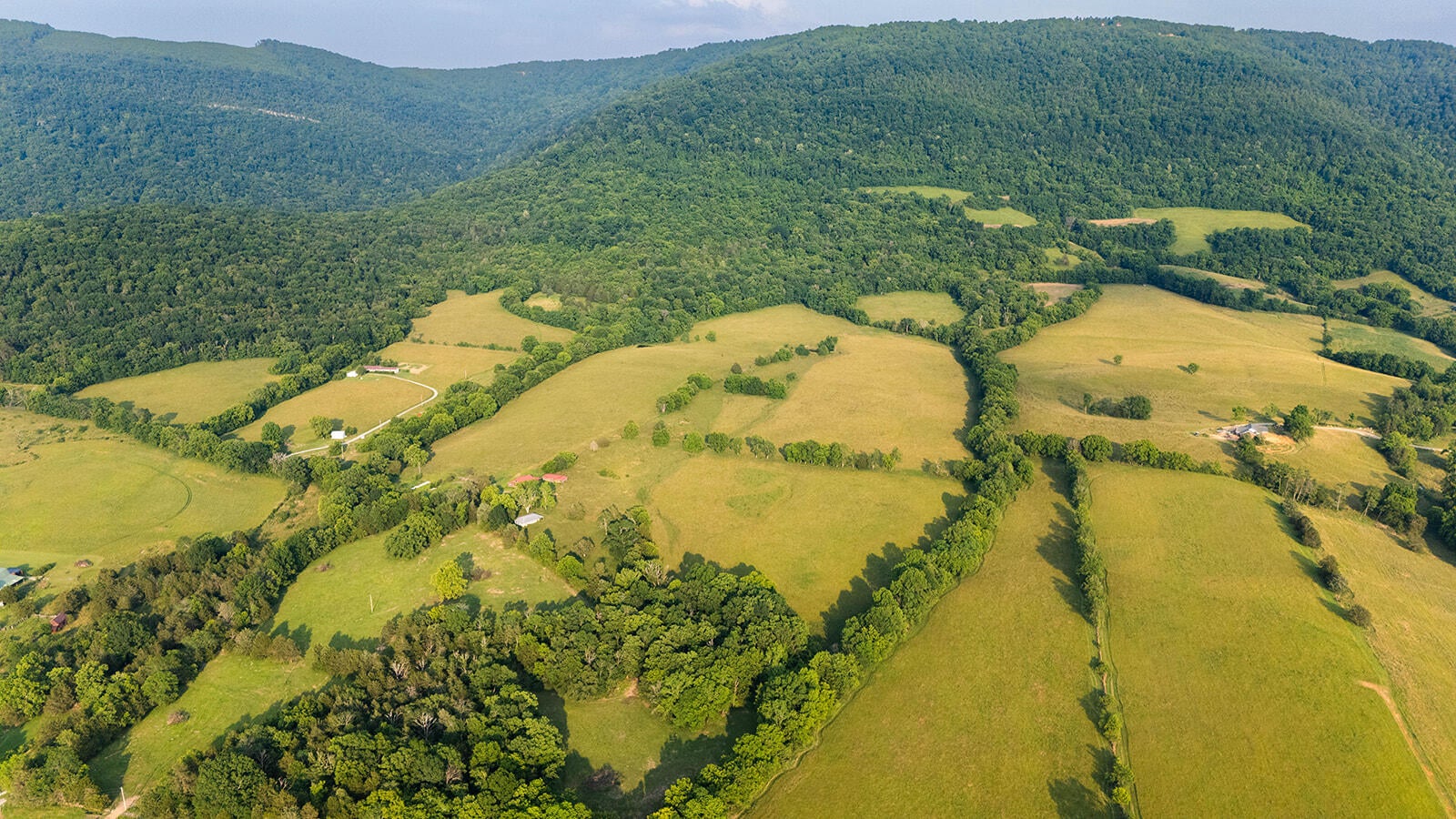 188 Marion Agee Road, Crossville, Tennessee, 37367, United States, ,Land,For Sale,188 Marion Agee Road,1659693