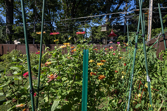 Des Plaines, Illinois, 60016, United States, 3 Bedrooms Bedrooms, ,3 BathroomsBathrooms,Residential,For Sale,2003071