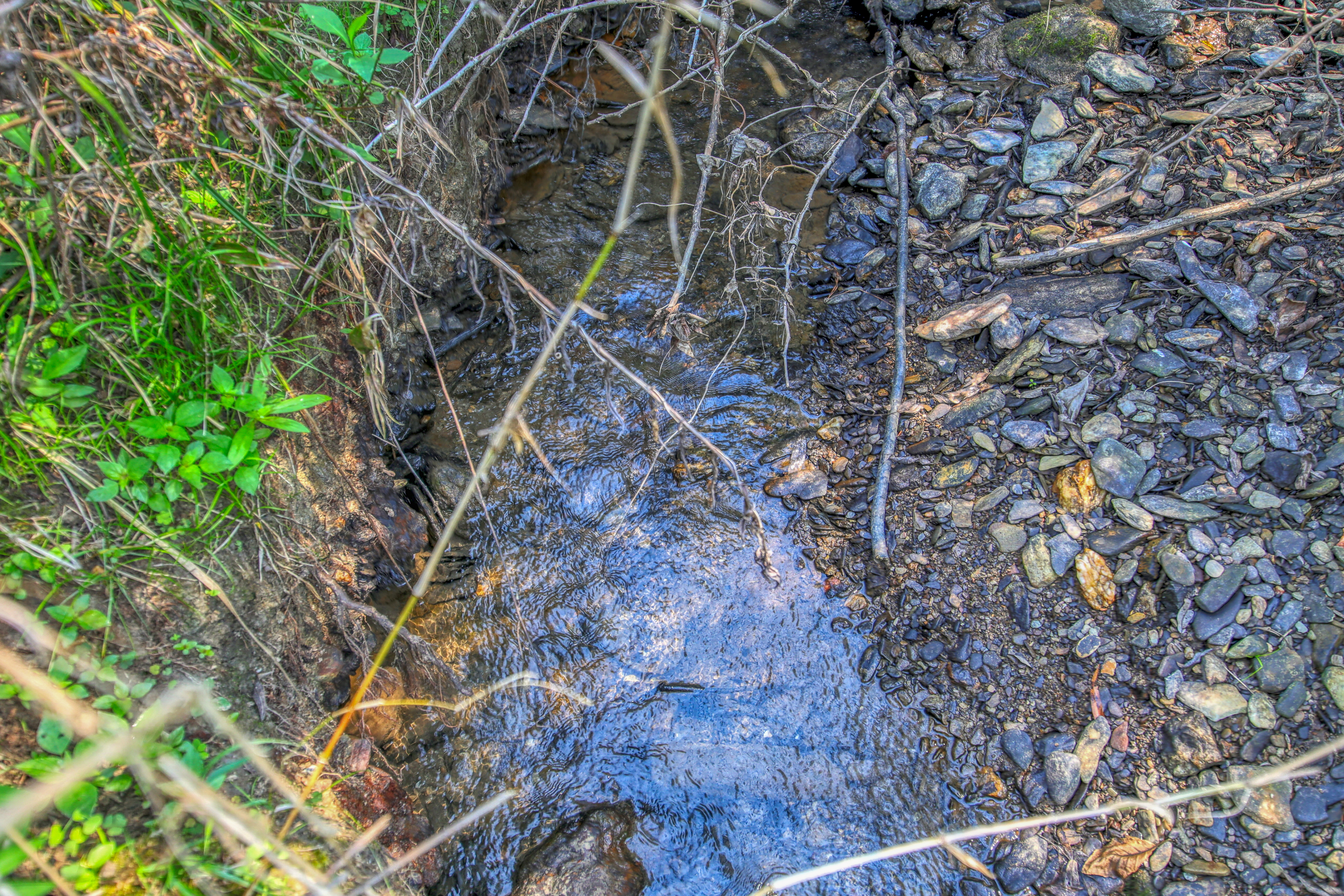  Belcher Loop, Tellico Plains, TN 37385 - 物件實景