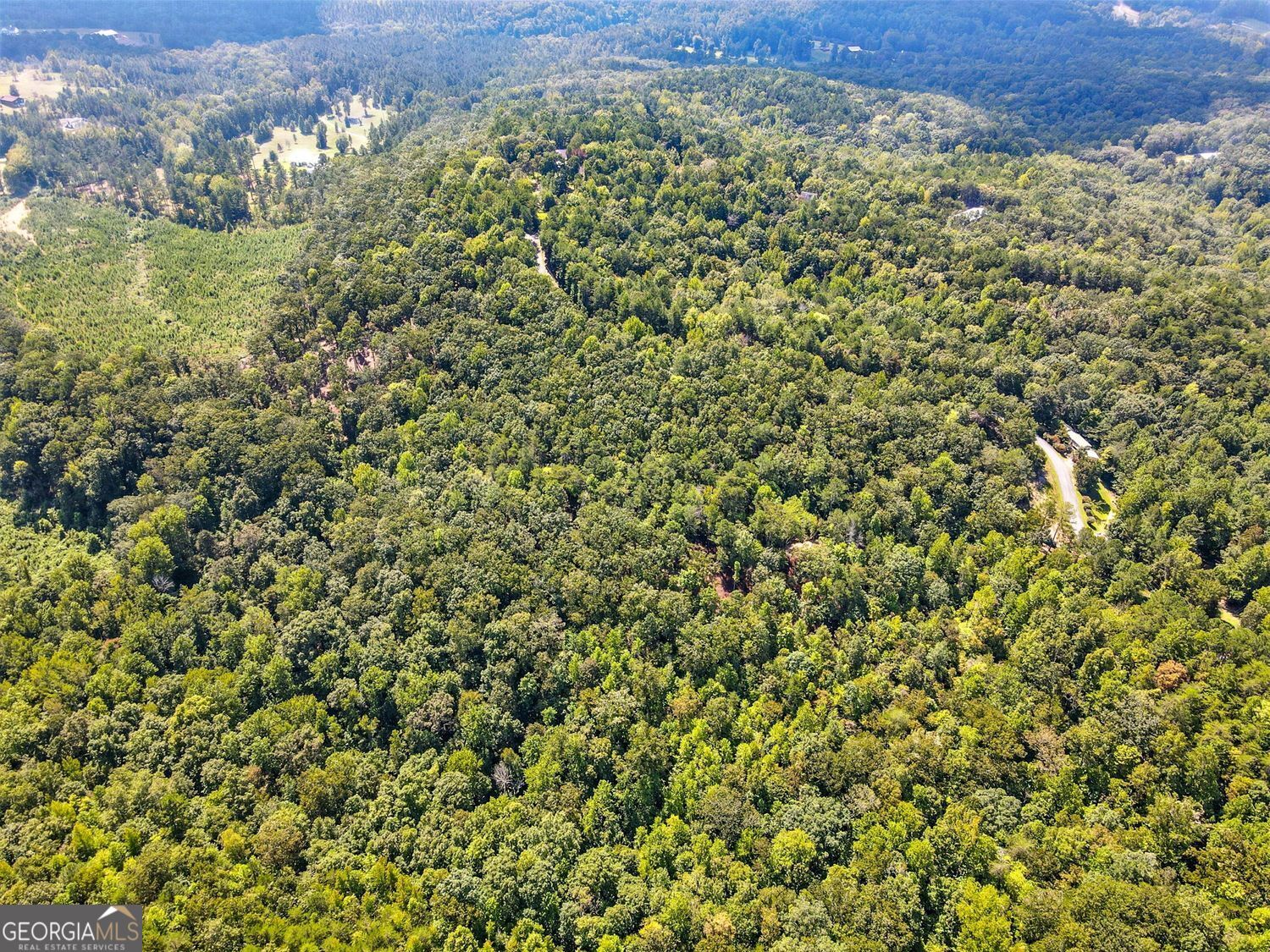 Waleska, Georgia, 30183, United States, ,Land,For Sale,1929808