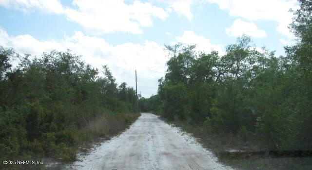 DeLeon Springs, Florida, 32130, United States, ,Land,For Sale,1978390