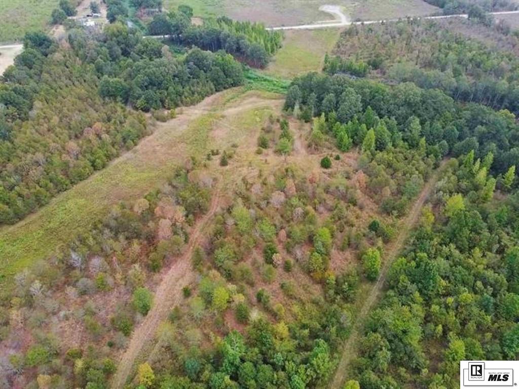 491 FORTENBERRY ROAD, Rayville, Louisiana, 71269, United States, ,Land,For Sale,491 FORTENBERRY ROAD,1683362
