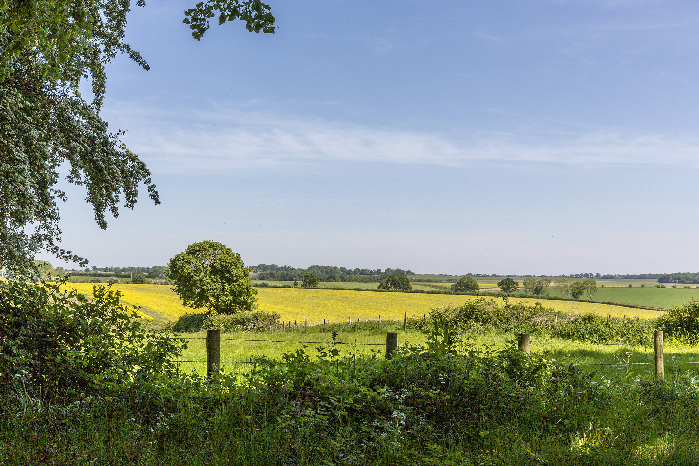  A Magnificent Victorian Rectory in the Heart of the North Wessex Downs - 物件實景