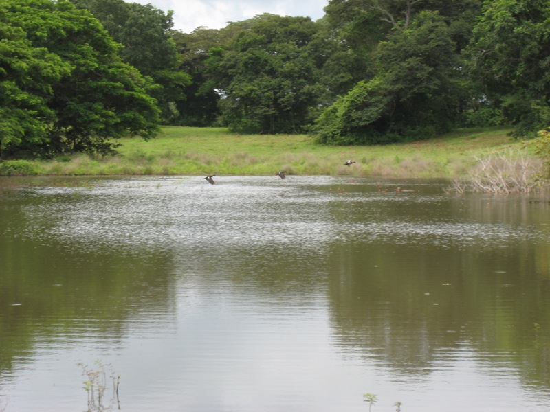 Papagayo Gulf, Guanacaste, CR, ,Land,For Sale,1589167