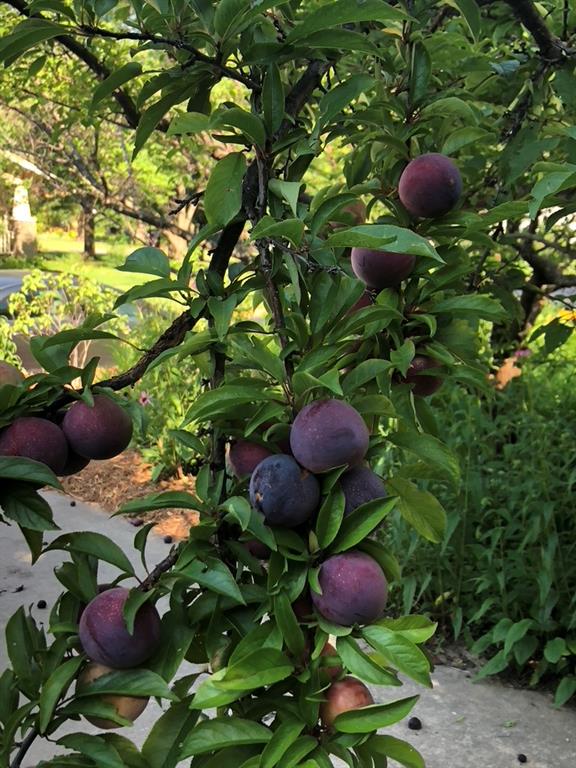 Norman, Oklahoma, 73069, United States, 4 Bedrooms Bedrooms, ,3 BathroomsBathrooms,Residential,For Sale,2012297