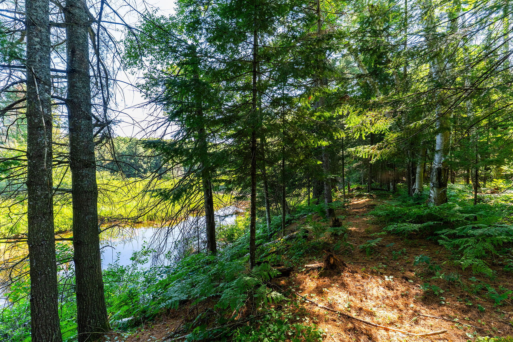  Buck River Huntsville - 物件實景