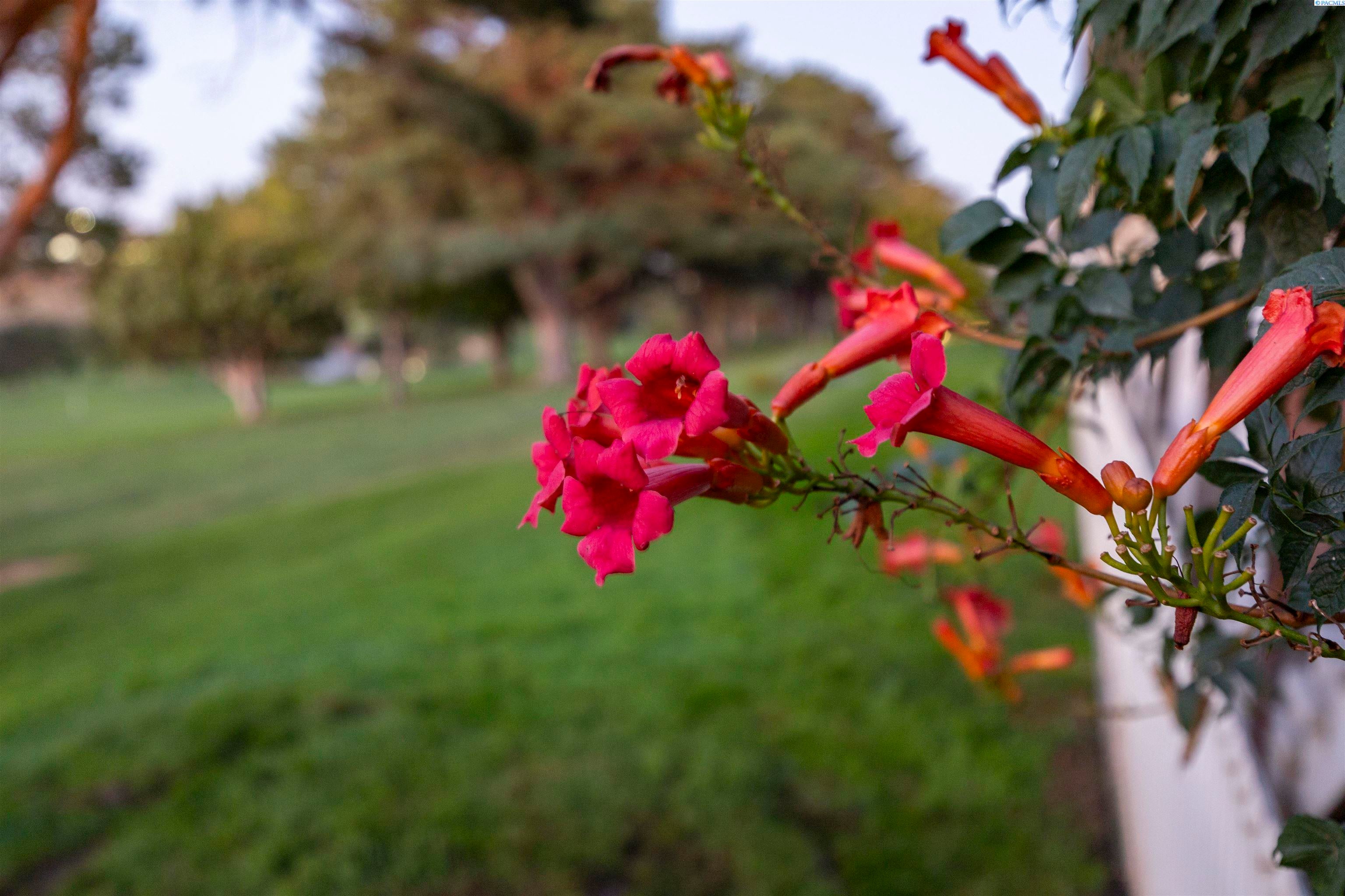 Kennewick, Washington, 99337, United States, 4 Bedrooms Bedrooms, ,2 BathroomsBathrooms,Residential,For Sale,1978666