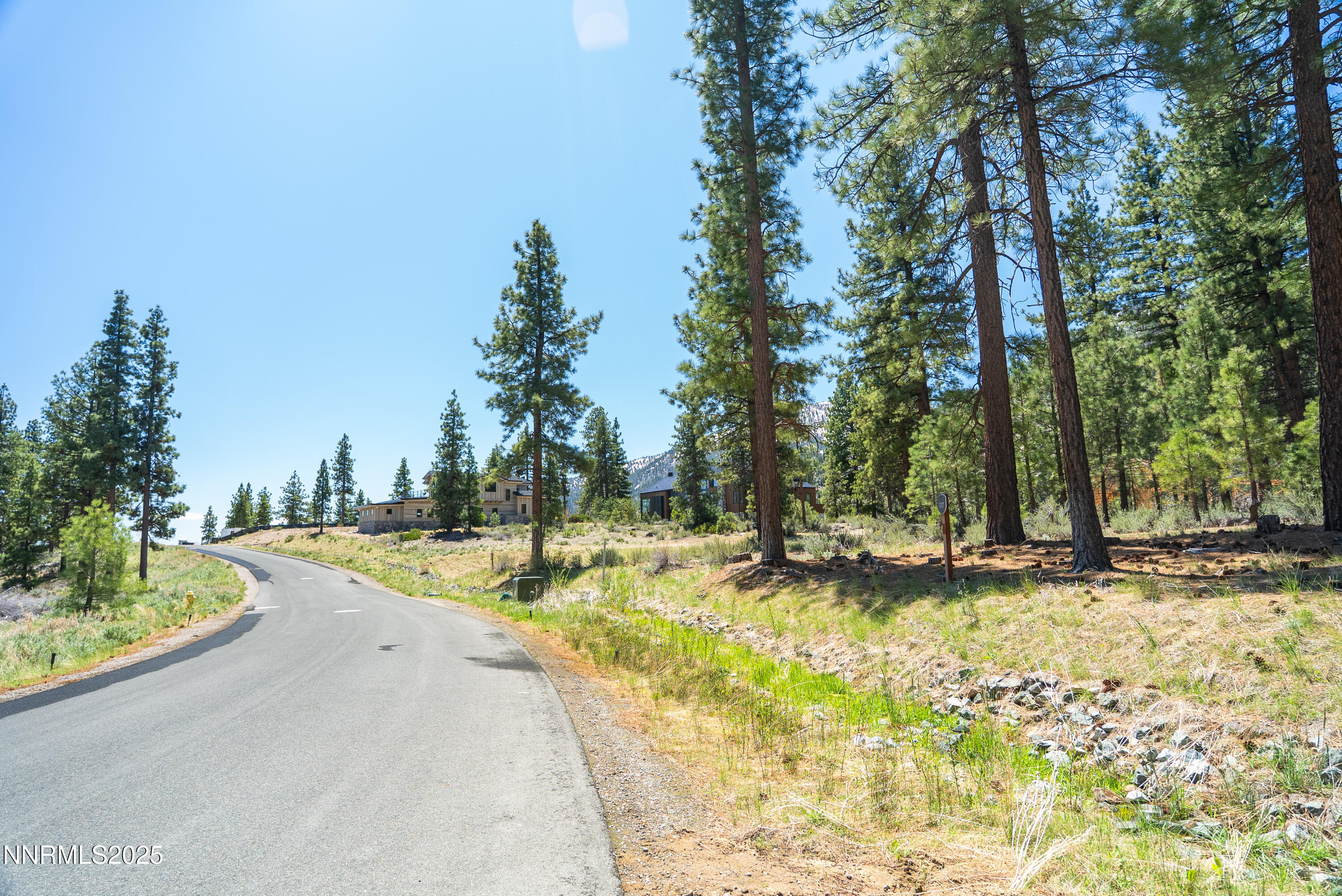 Carson City, Nevada, 89705, United States, ,Land,For Sale,1848376