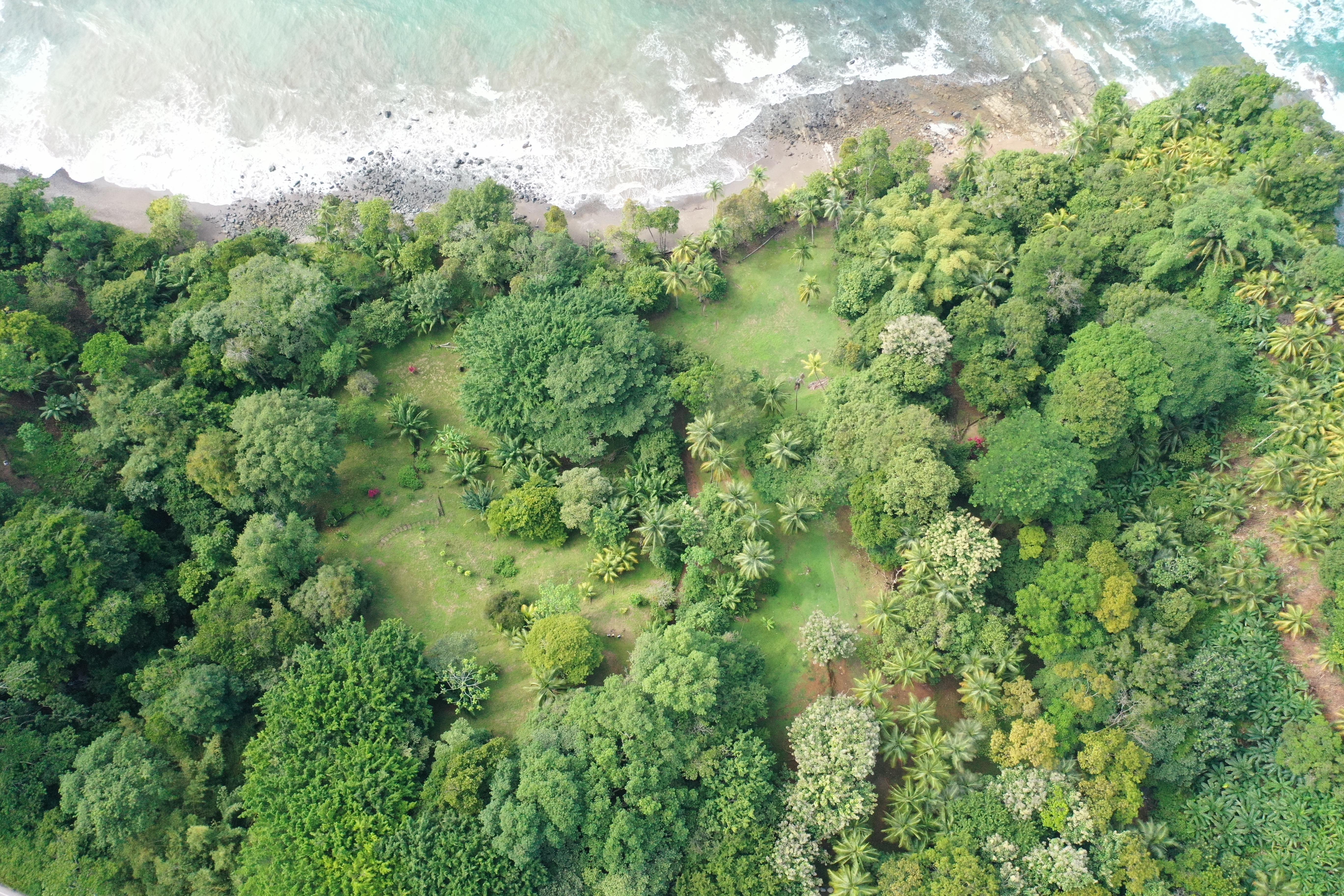 Dominical, Puntarenas, CR, ,Land,For Sale,1839872