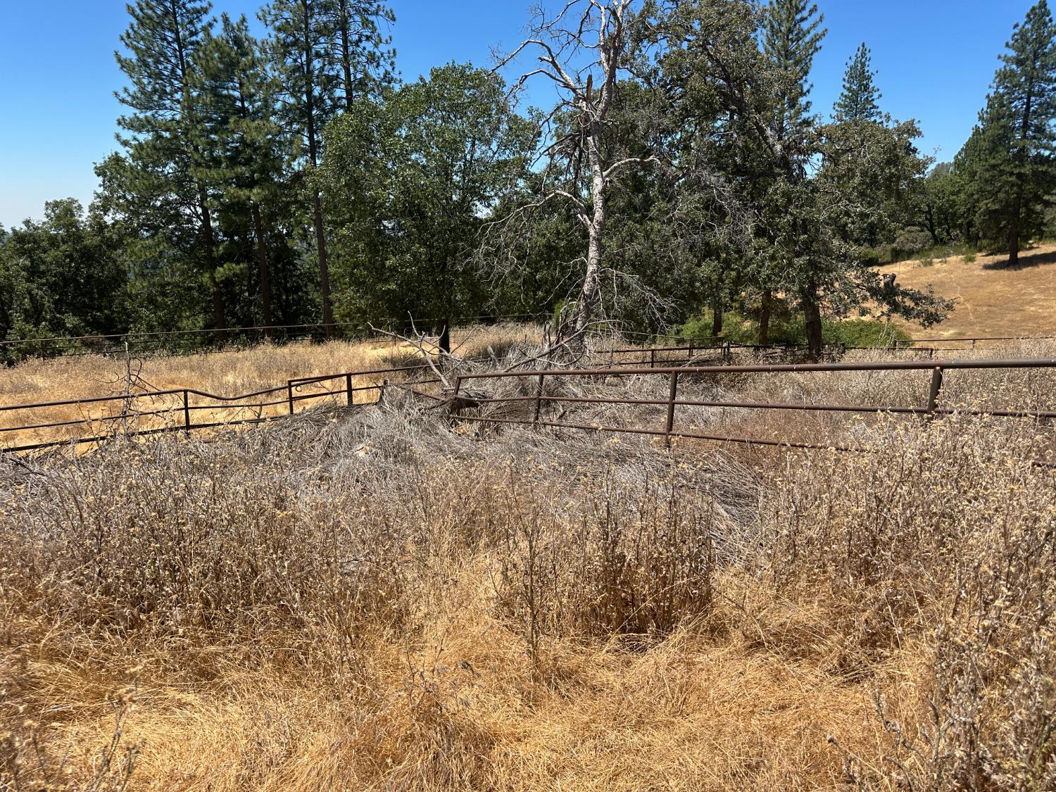 Georgetown, California, 95634, United States, ,Residential,For Sale,1943393
