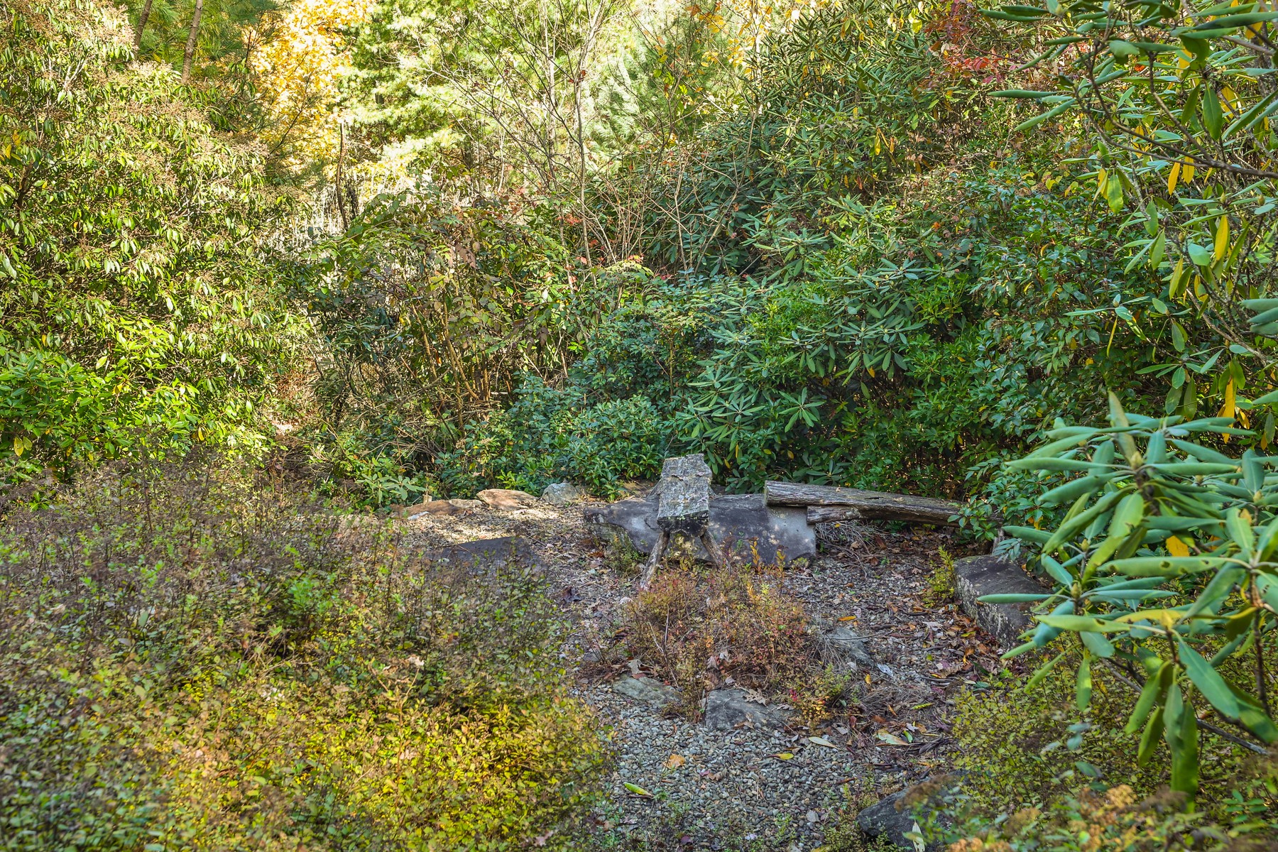  179 Sagee Woods Drive - 物件實景