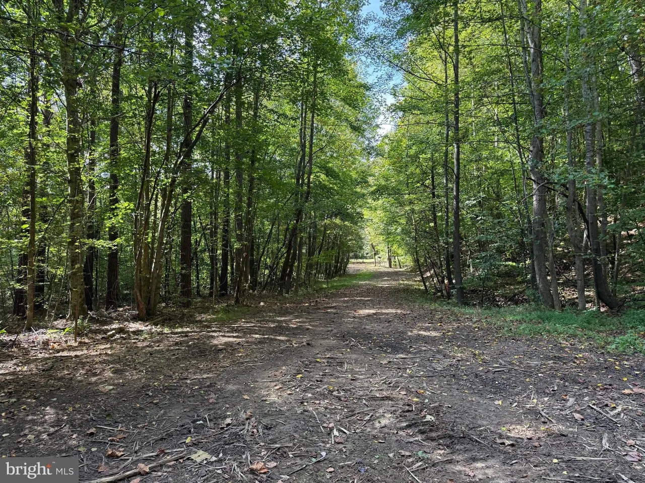 Appomattox, Virginia, 24522, United States, ,Land,For Sale,1982903