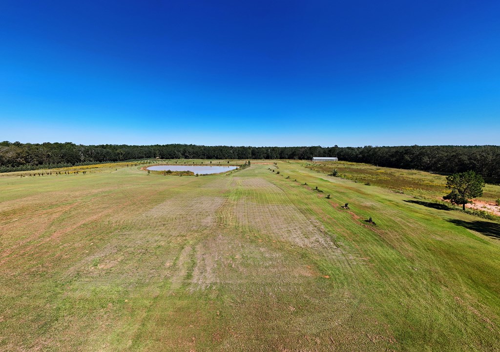 Pavo, Georgia, 31778, United States, ,Residential,For Sale,1988640