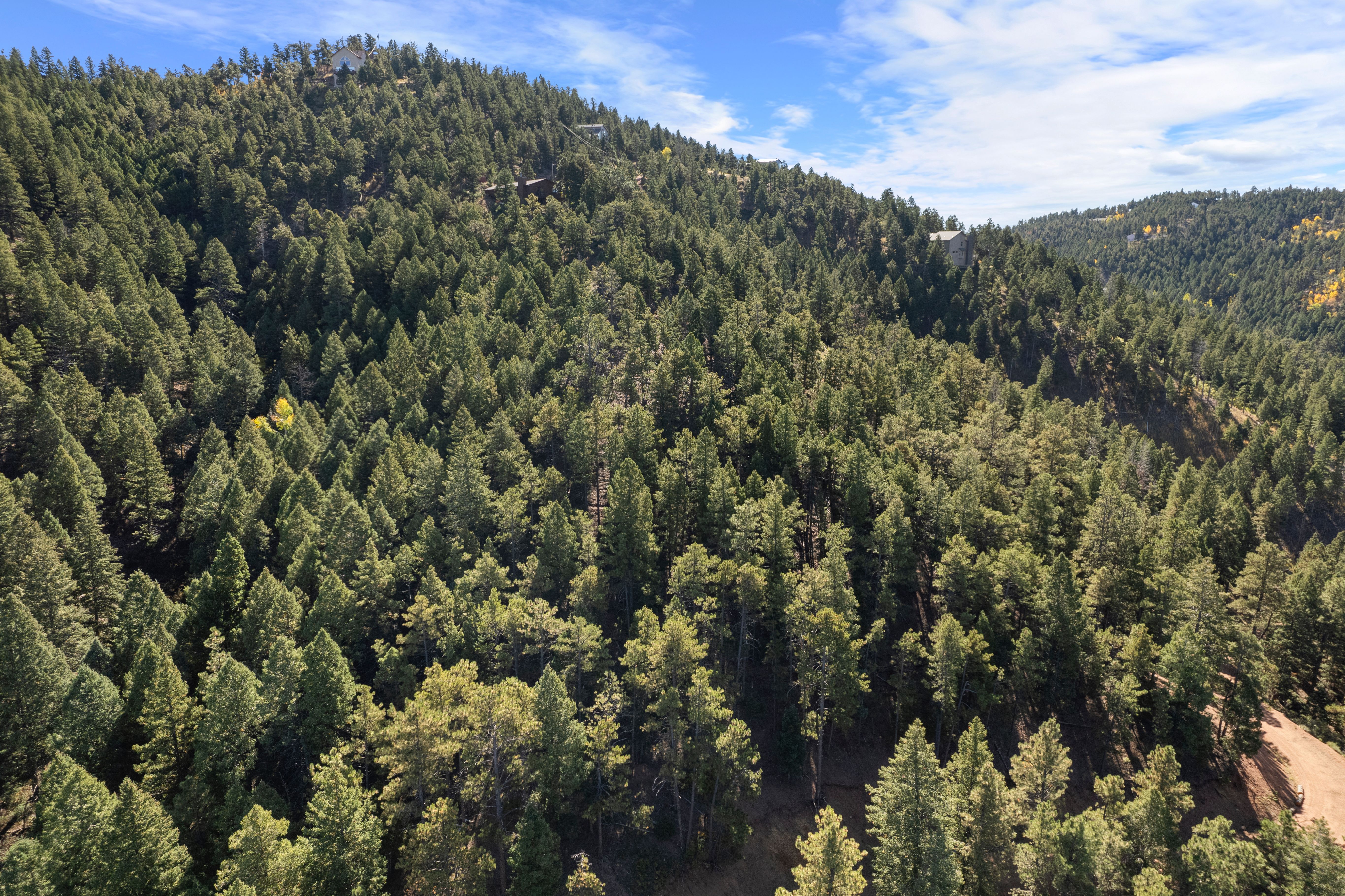  Nestled in the serene Woodmoor Mountain - 物件實景