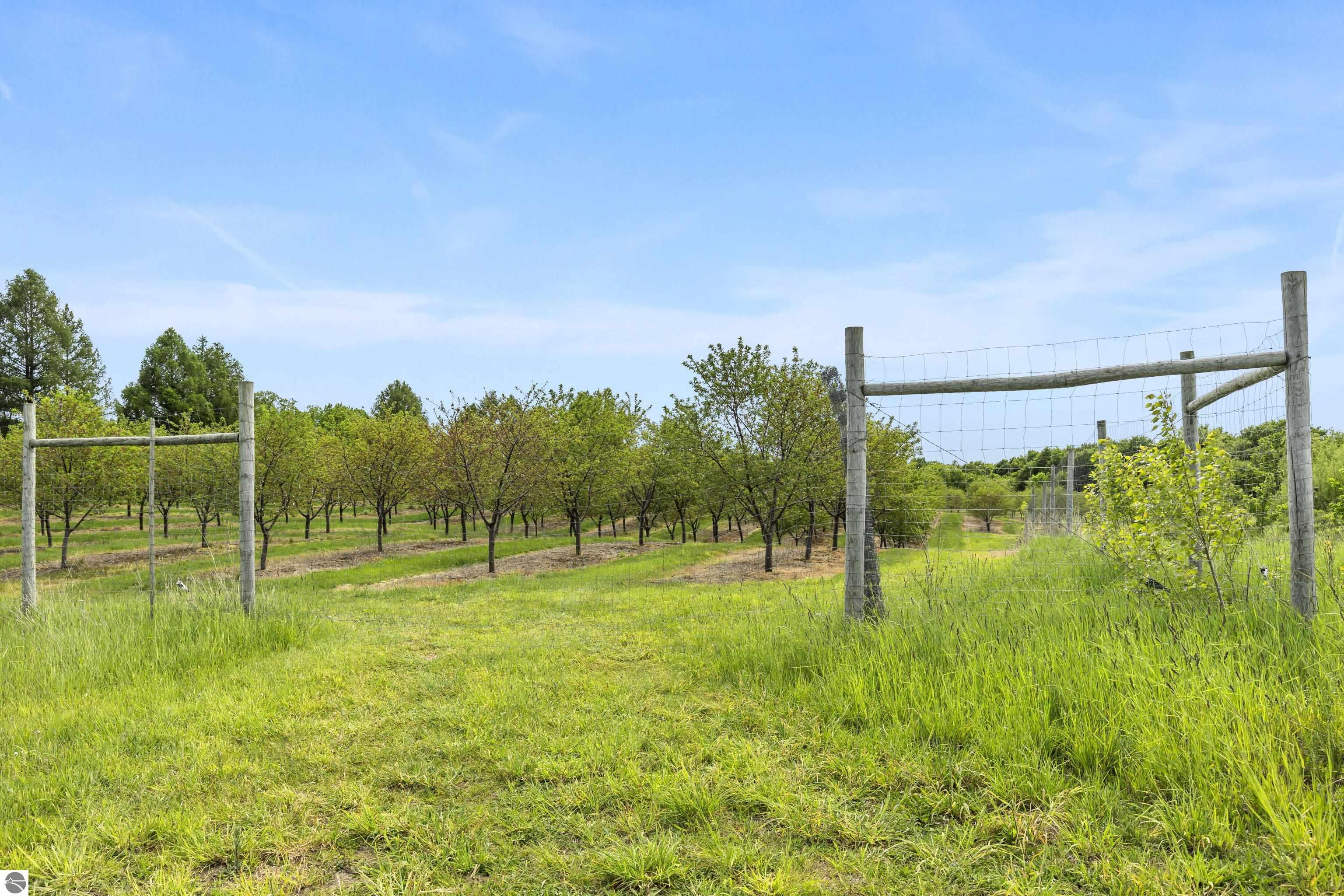 Beulah, Michigan, 49617, United States, ,Land,For Sale,1938552