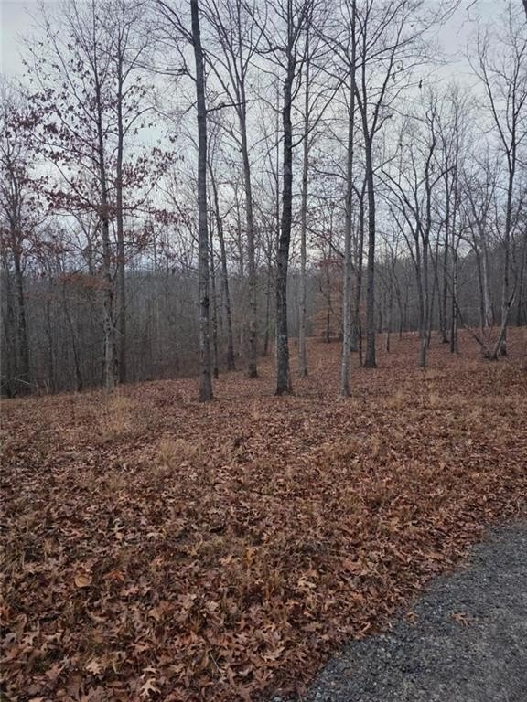 Talking Rock, Georgia, 30175, United States, 1 Bedroom Bedrooms, ,1 BathroomBathrooms,Residential,For Sale,2005739