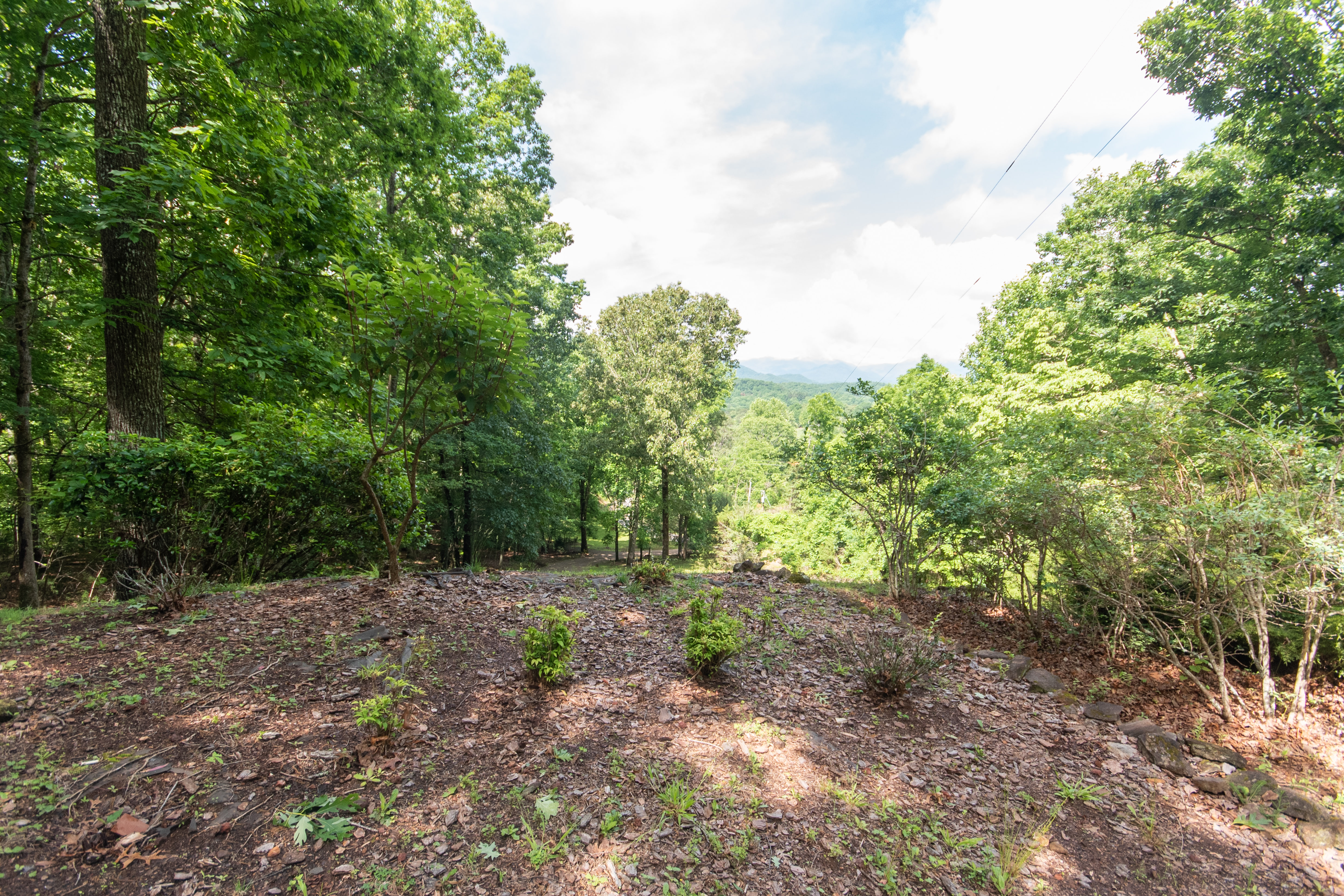  Dowdle Mountain Retreat - 物件實景