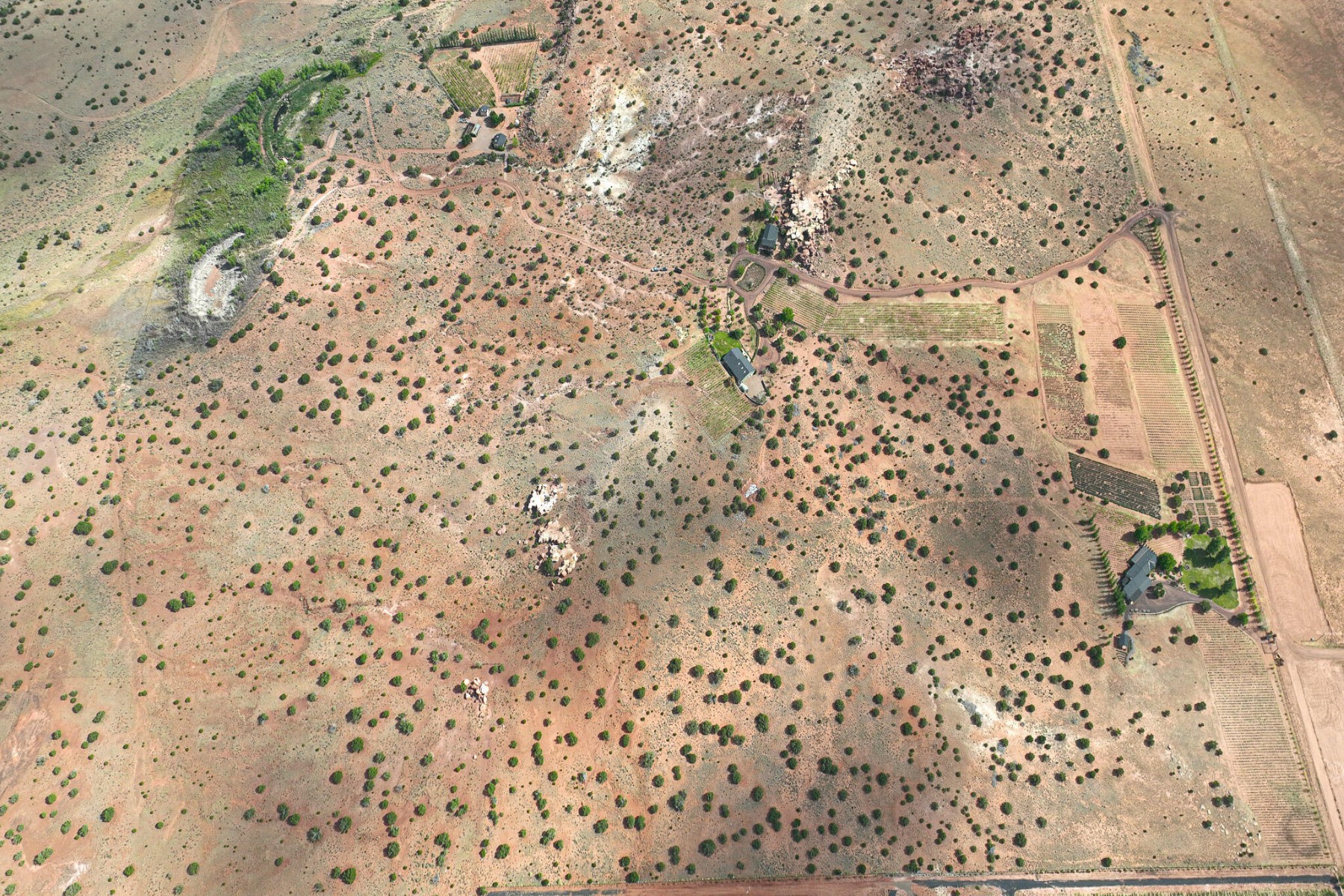  14 County Road 5309, Concho, AZ 85924 - 物件實景