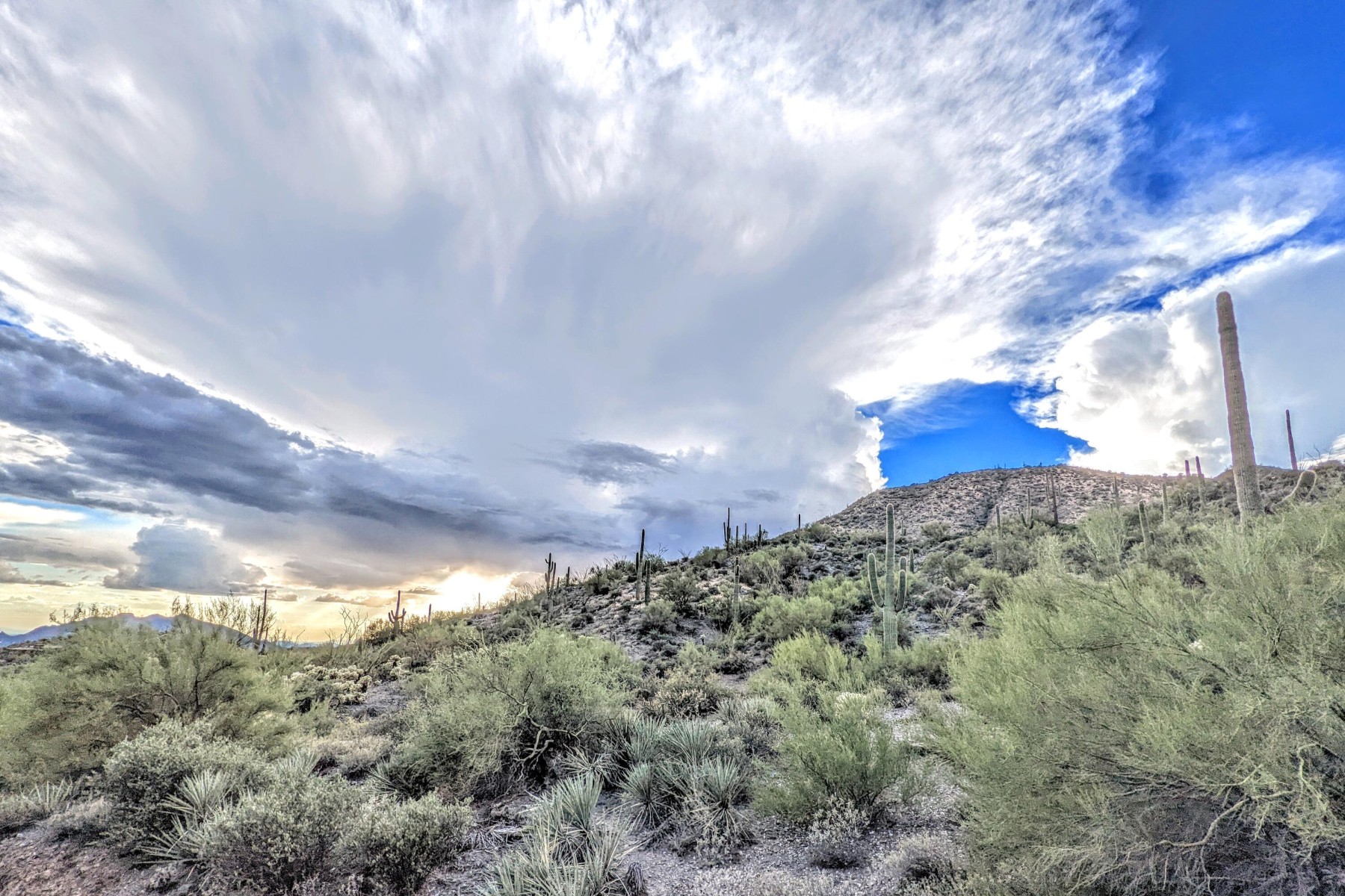  9146 E Limousin Drive¦Scottsdale, AZ - 物件實景