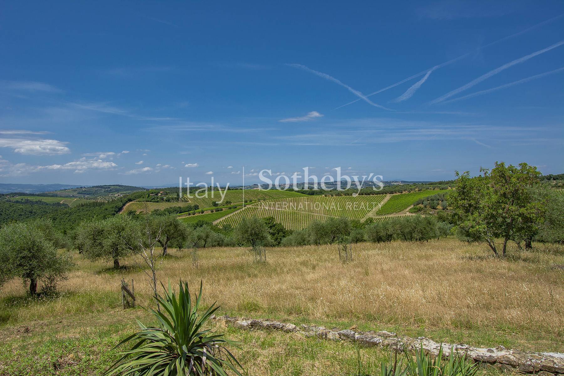  Panoramic agriturismo producing organic olive oil of Chianti - 物件實景
